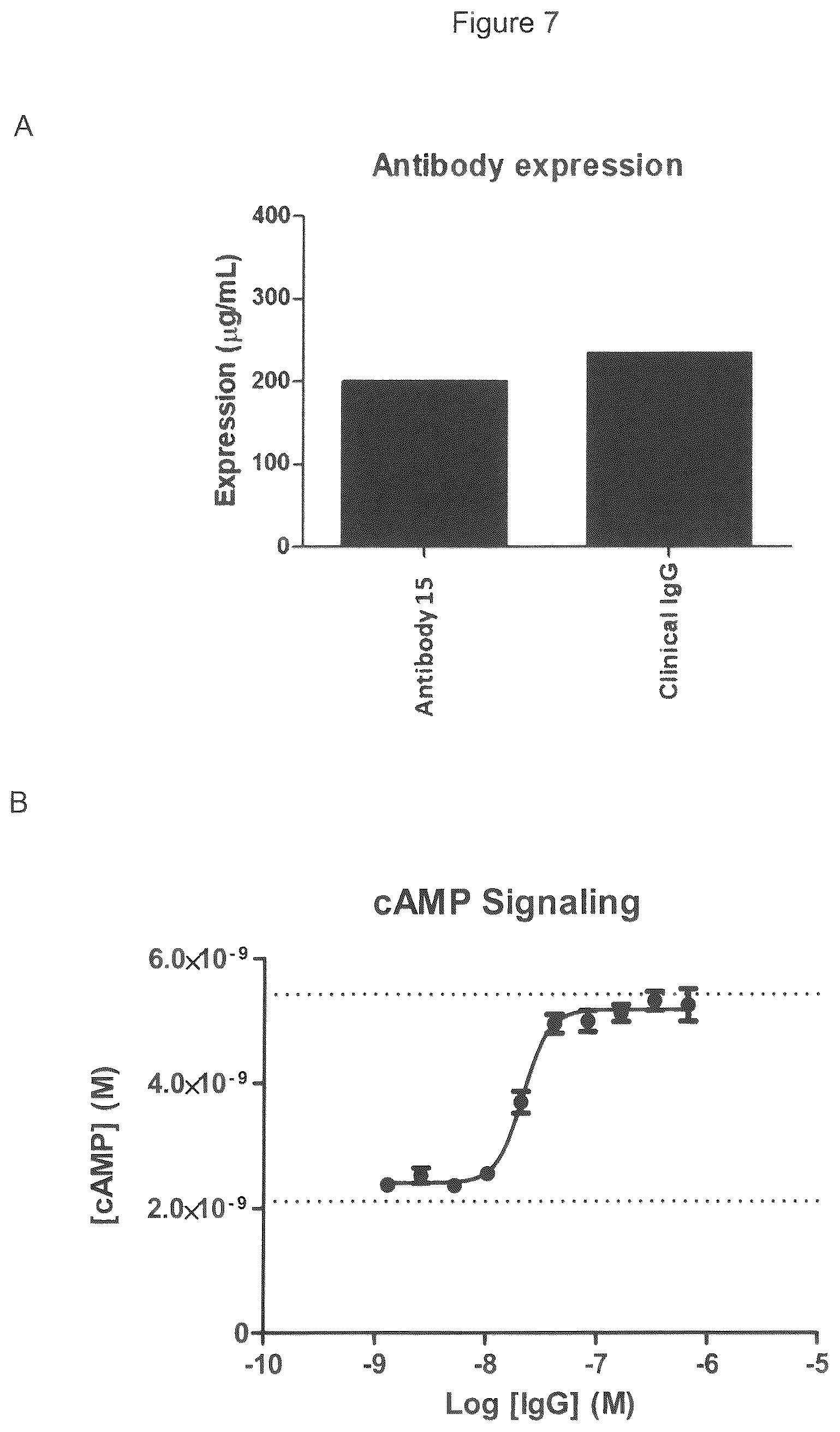 Patent US12599645 Figure 13 – Antibodies which bind to lysophosphatidic acid receptor 1 (LPAR1)