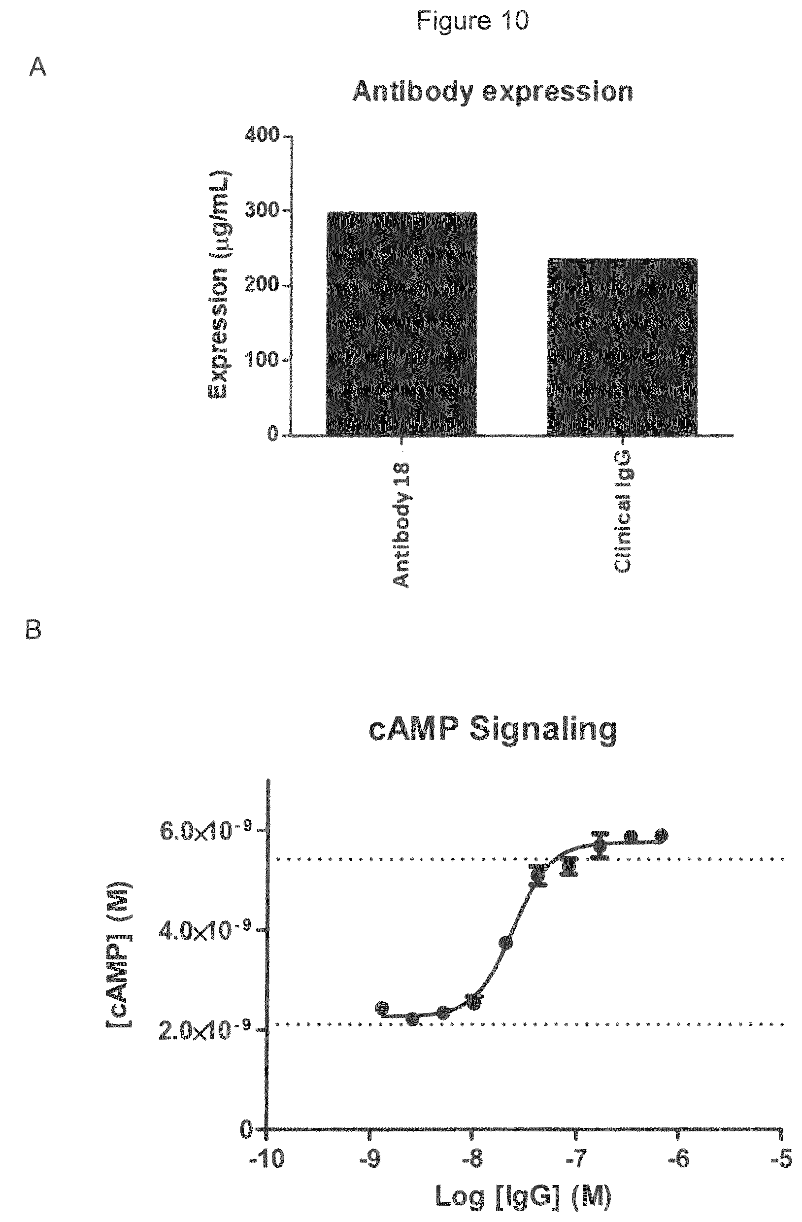Patent US12599645 Figure 19 – Antibodies which bind to lysophosphatidic acid receptor 1 (LPAR1)