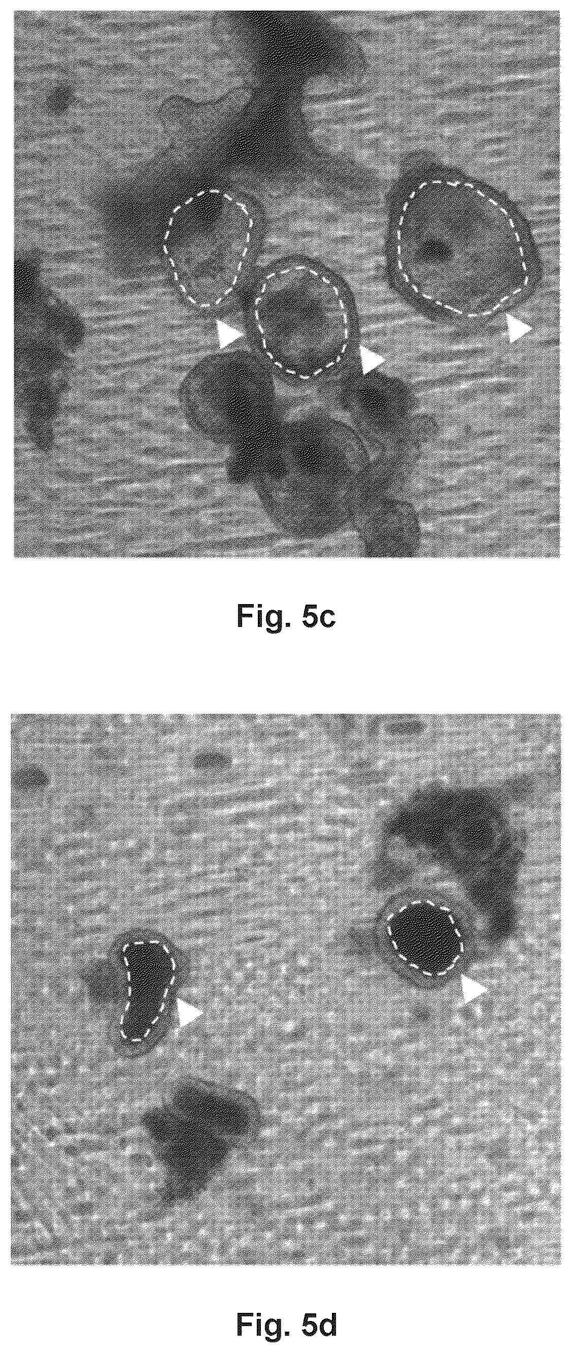 Patent US12599648 Figure 8 – Pharmaceutical composition comprising a combination of a guanylate cyclase C (GUCY2C) agonist and a short-chain fatty acid or prodrug thereof