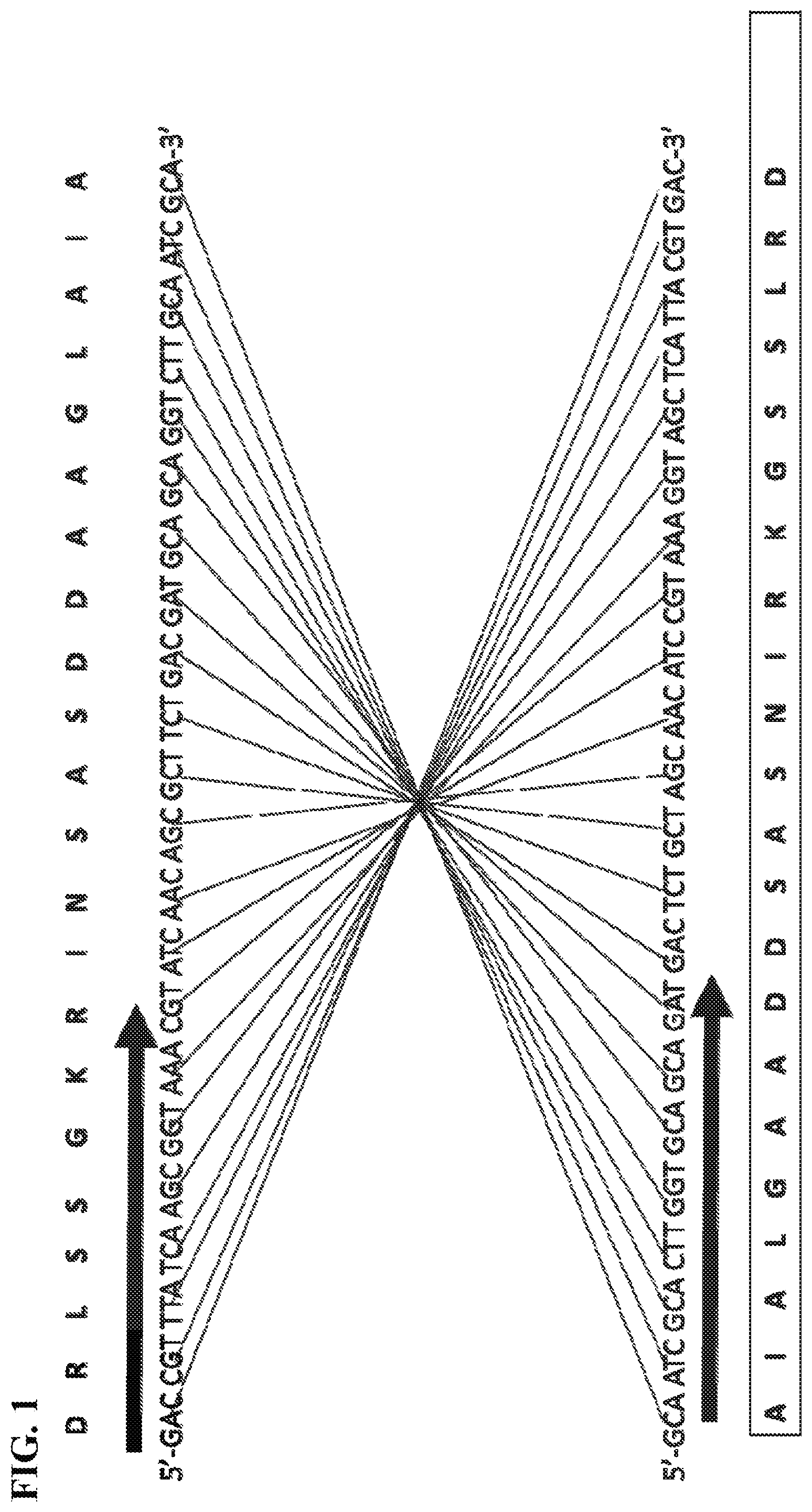 Patent US12599649 Figure 1 – Bioactive polypeptides for improvements in plant protection, growth and productivity