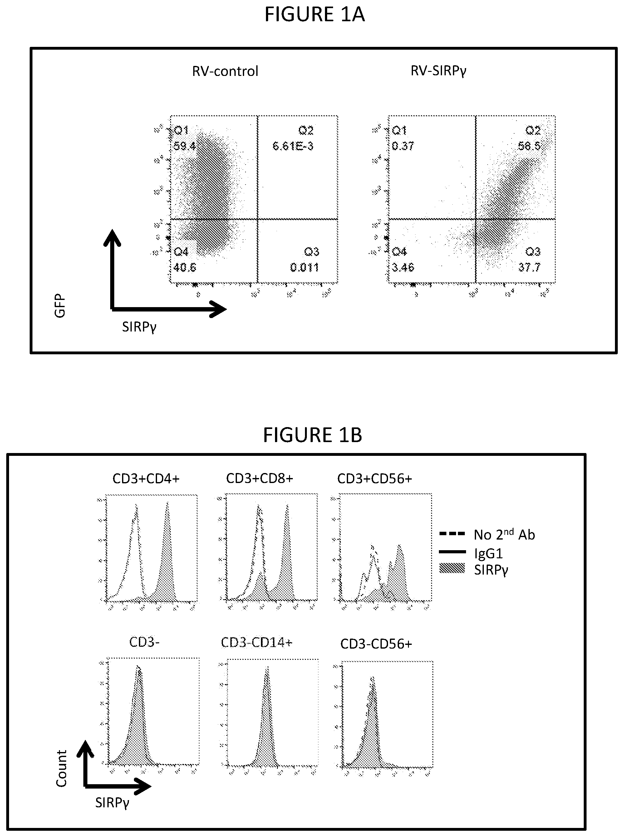 Patent US12599650 Figure 1 – Inhibition of SIRP-gamma for cancer treatment