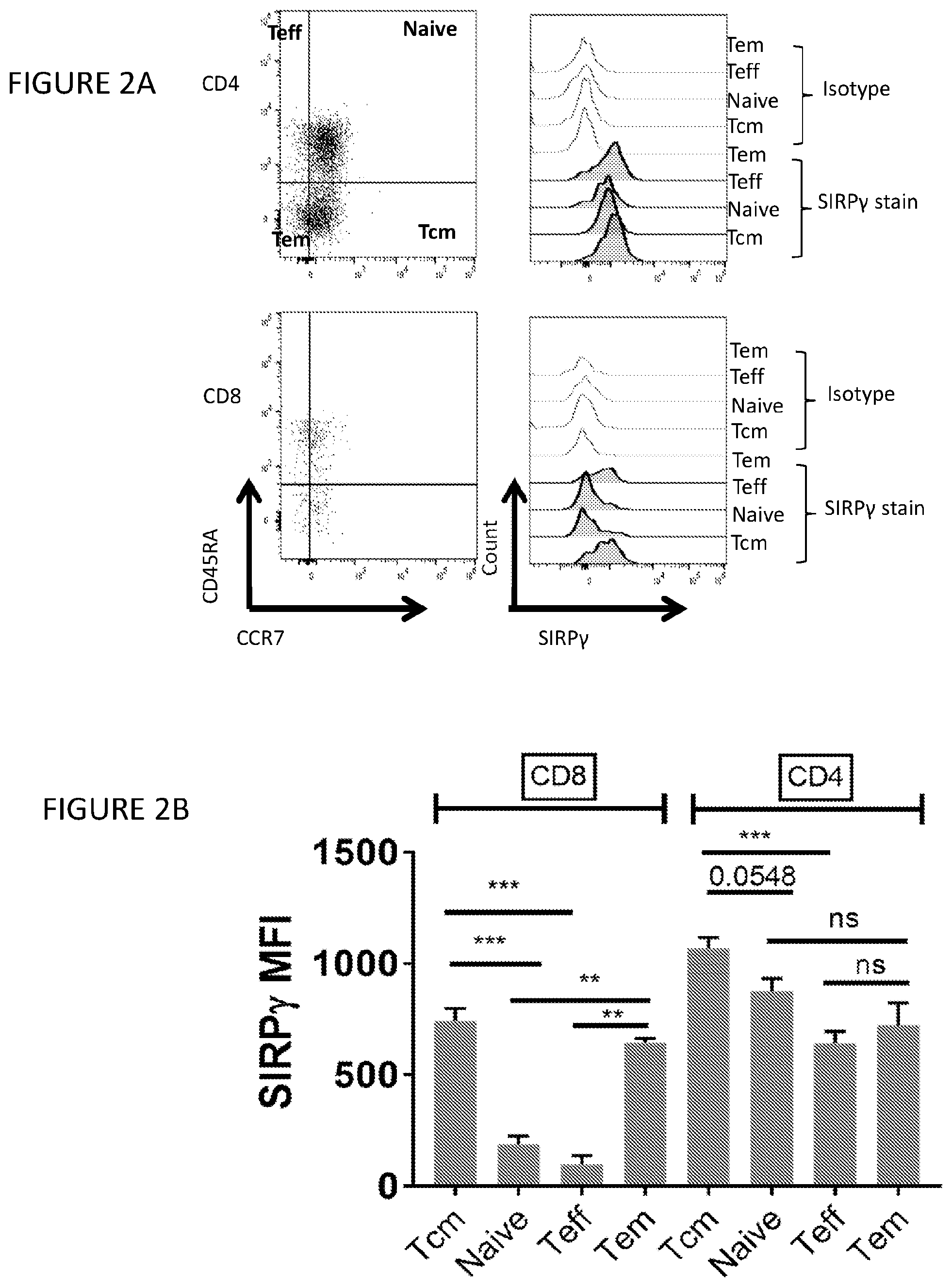 Patent US12599650 Figure 3 – Inhibition of SIRP-gamma for cancer treatment