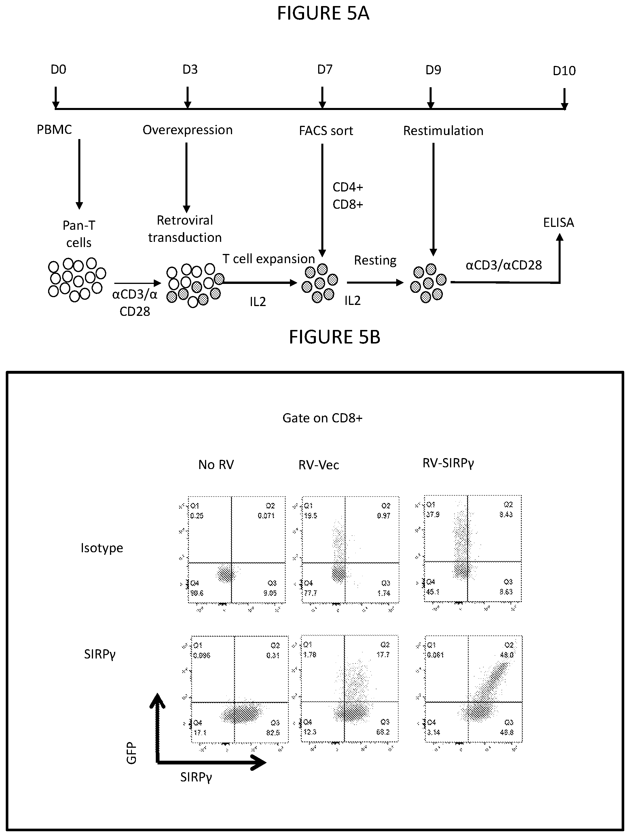 Patent US12599650 Figure 6 – Inhibition of SIRP-gamma for cancer treatment