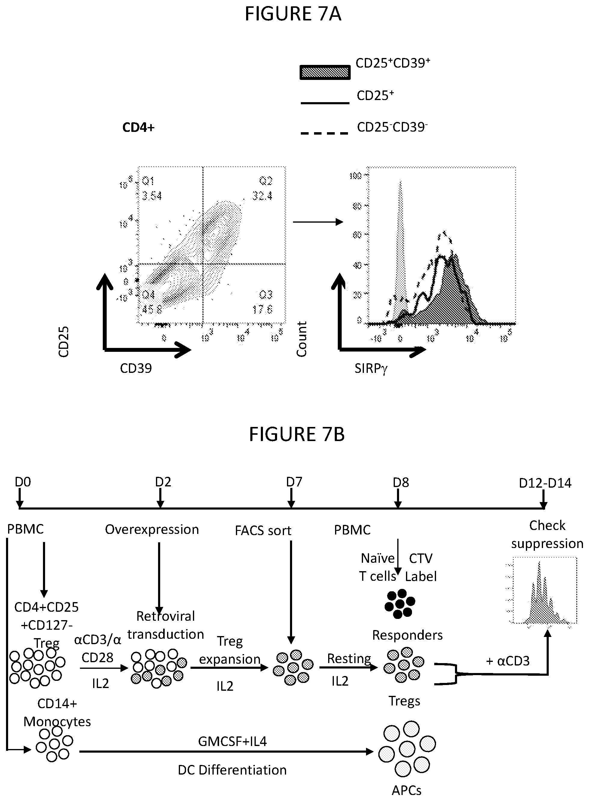 Patent US12599650 Figure 10 – Inhibition of SIRP-gamma for cancer treatment