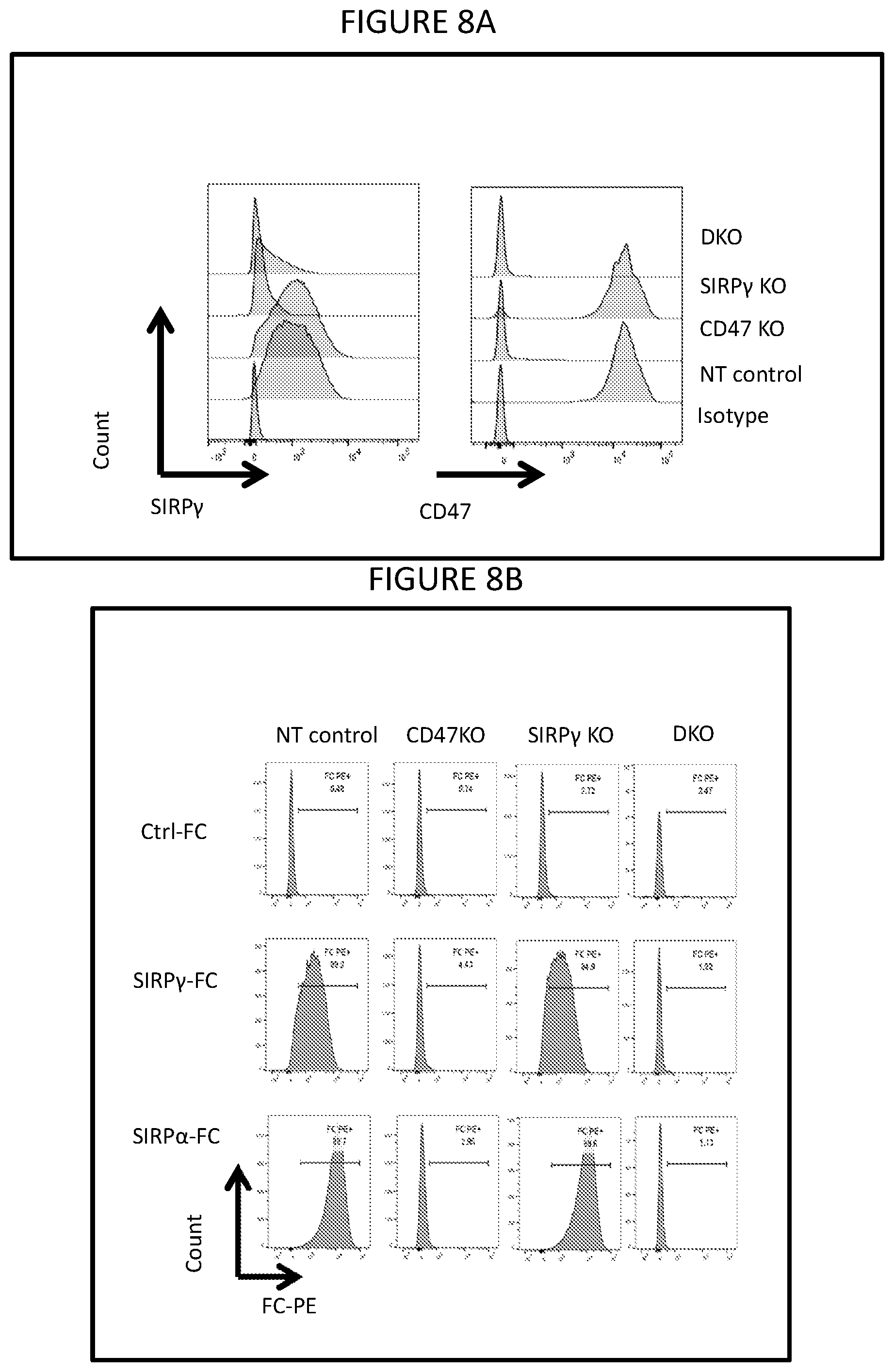 Patent US12599650 Figure 12 – Inhibition of SIRP-gamma for cancer treatment