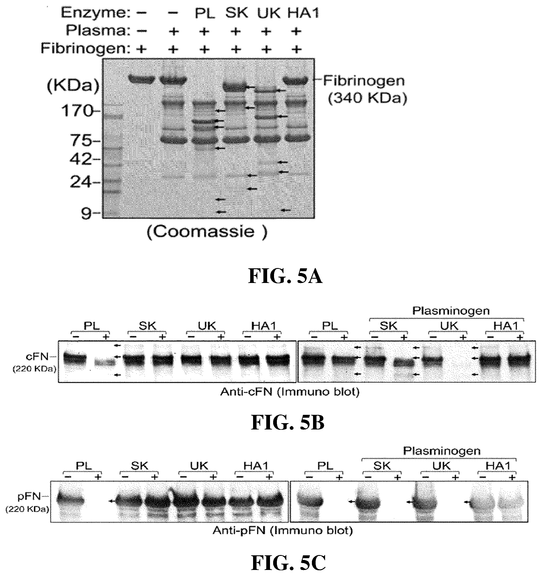 Patent US12599653 Figure 4 – Thrombolytic agents for intravascular clots