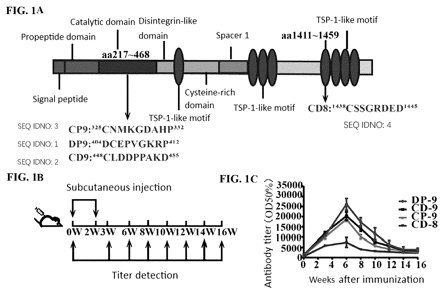 Patent US12599654 Figure 1 – Immunogenic peptide fragments of metalloprotease ADAMTS-7 and uses thereof in anti-atherosclerosis and related diseases