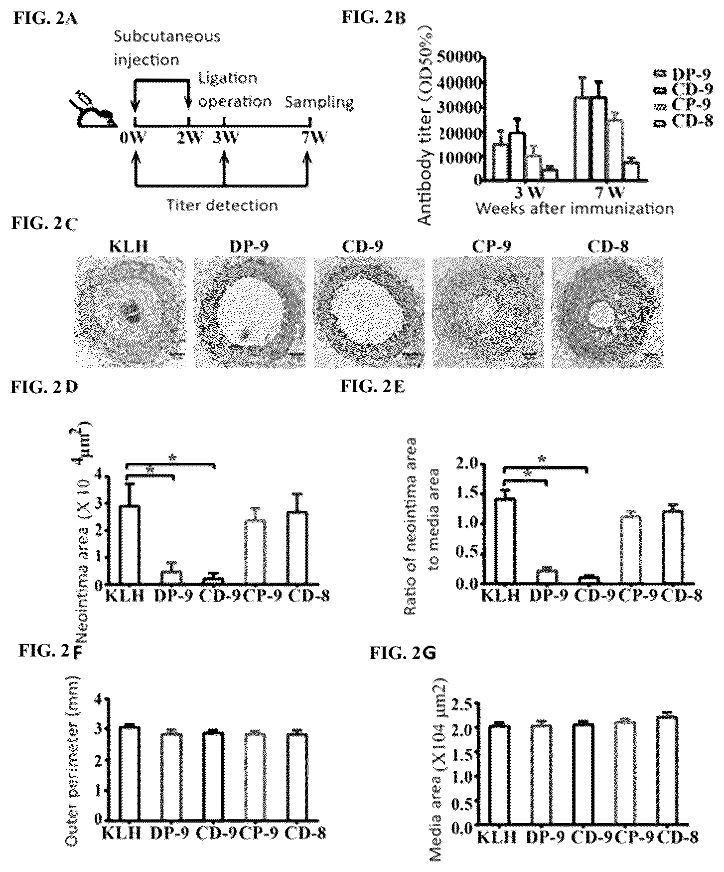 Patent US12599654 Figure 2 – Immunogenic peptide fragments of metalloprotease ADAMTS-7 and uses thereof in anti-atherosclerosis and related diseases