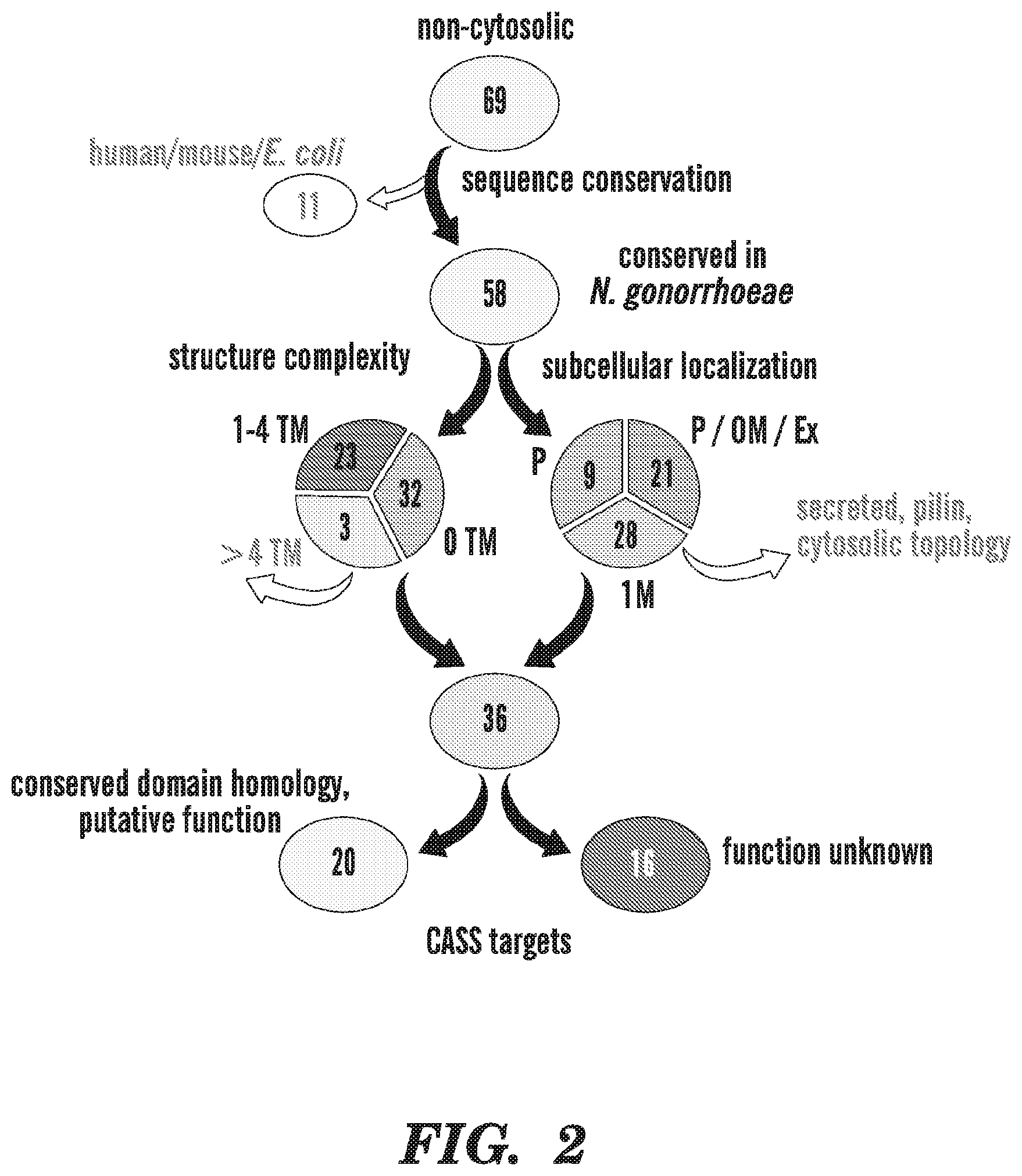 Patent US12599655 Figure 2 – Neisseria gonorrhoeae vaccine compositions and methods of selecting antigens