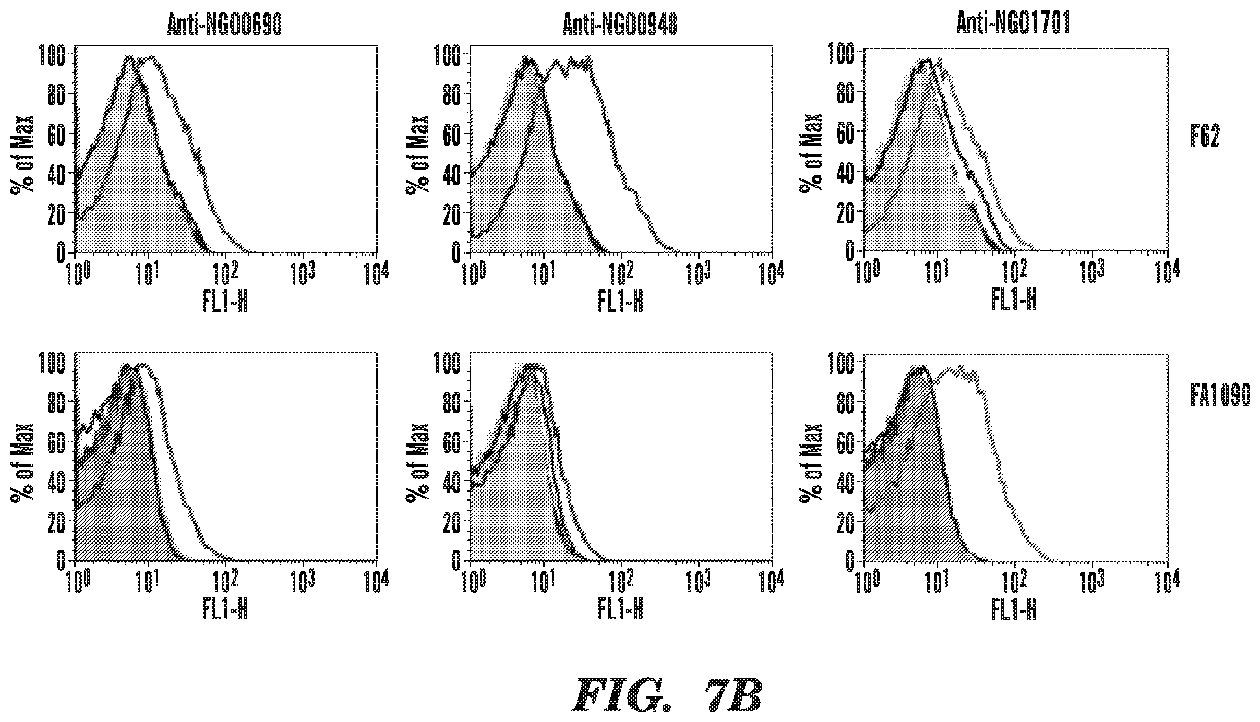 Patent US12599655 Figure 10 – Neisseria gonorrhoeae vaccine compositions and methods of selecting antigens
