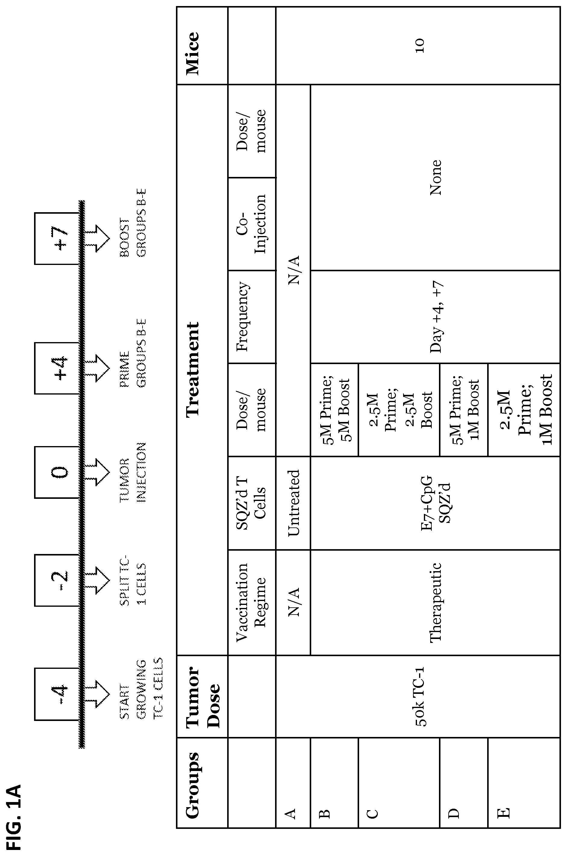 Patent US12599656 Figure 1 – Methods for treating HPV-associated diseases