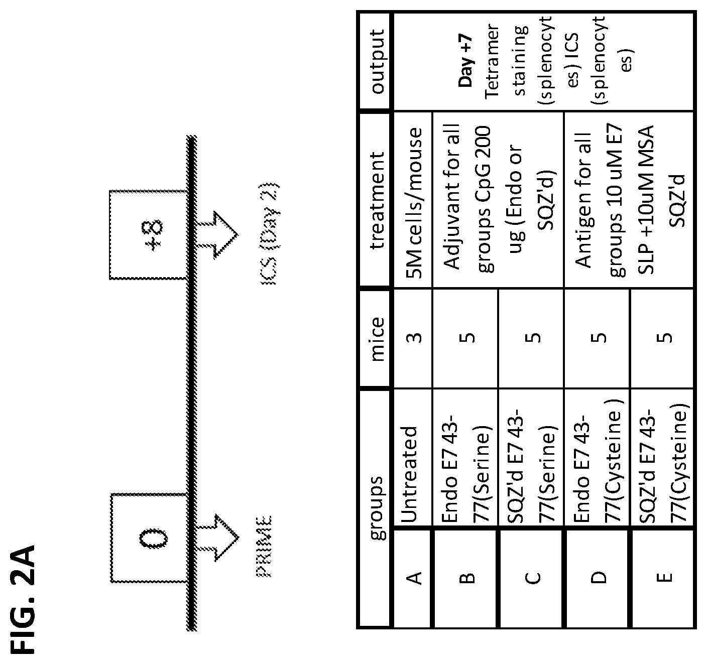 Patent US12599656 Figure 3 – Methods for treating HPV-associated diseases