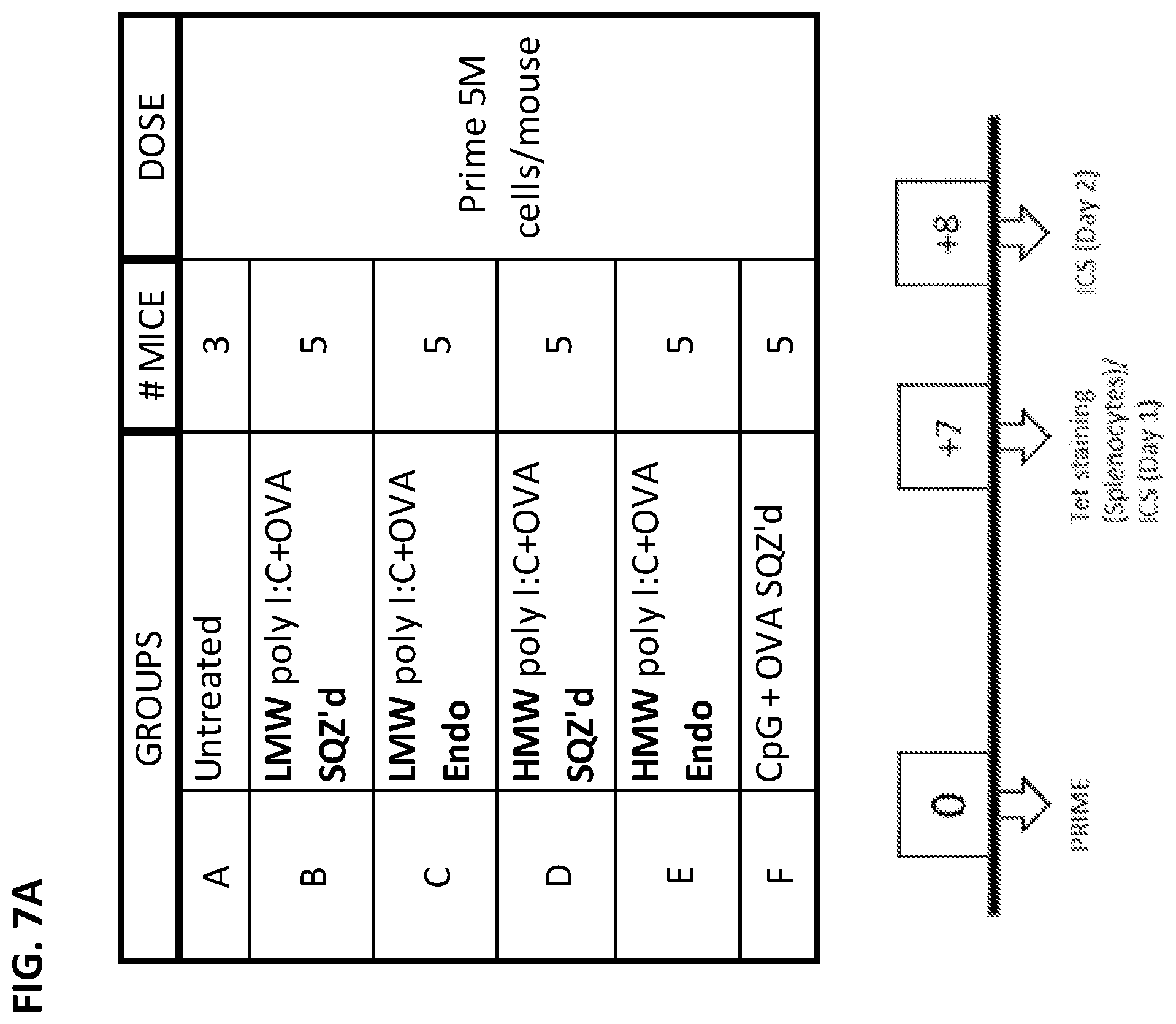 Patent US12599656 Figure 10 – Methods for treating HPV-associated diseases