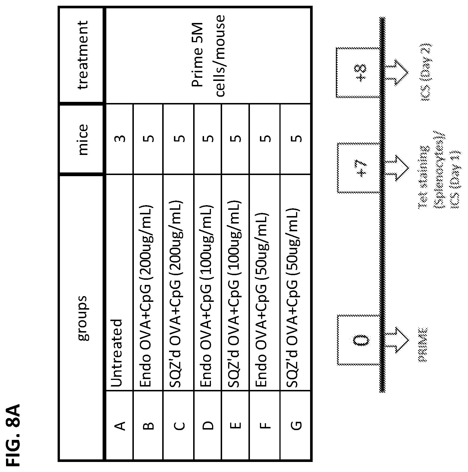Patent US12599656 Figure 12 – Methods for treating HPV-associated diseases