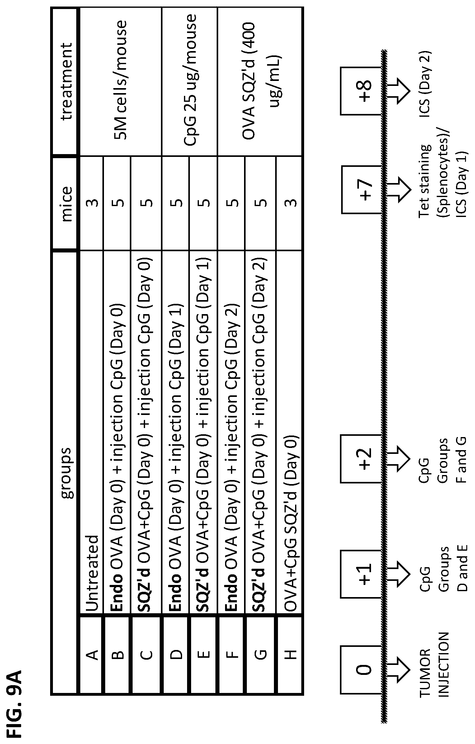 Patent US12599656 Figure 14 – Methods for treating HPV-associated diseases