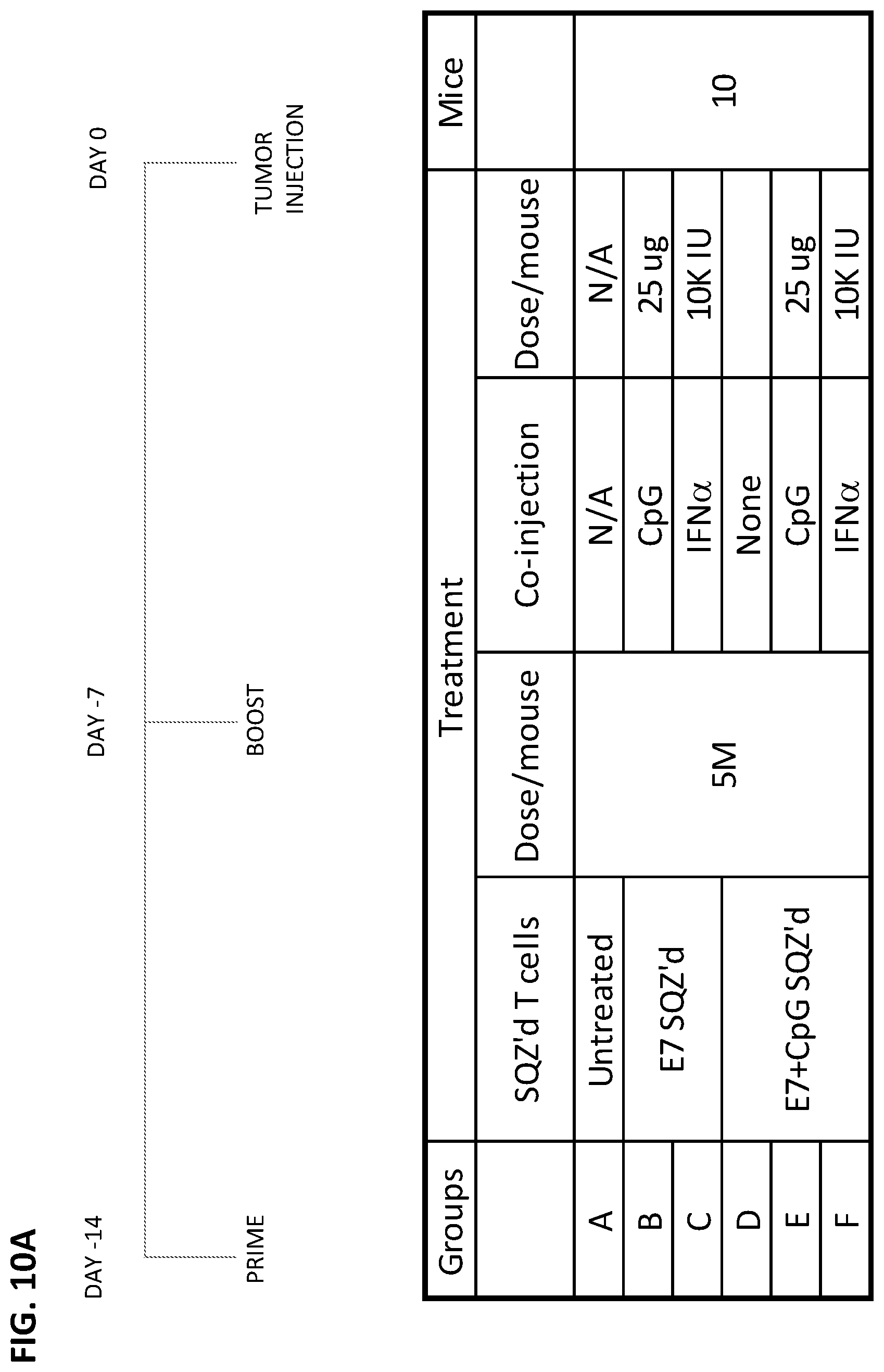 Patent US12599656 Figure 16 – Methods for treating HPV-associated diseases