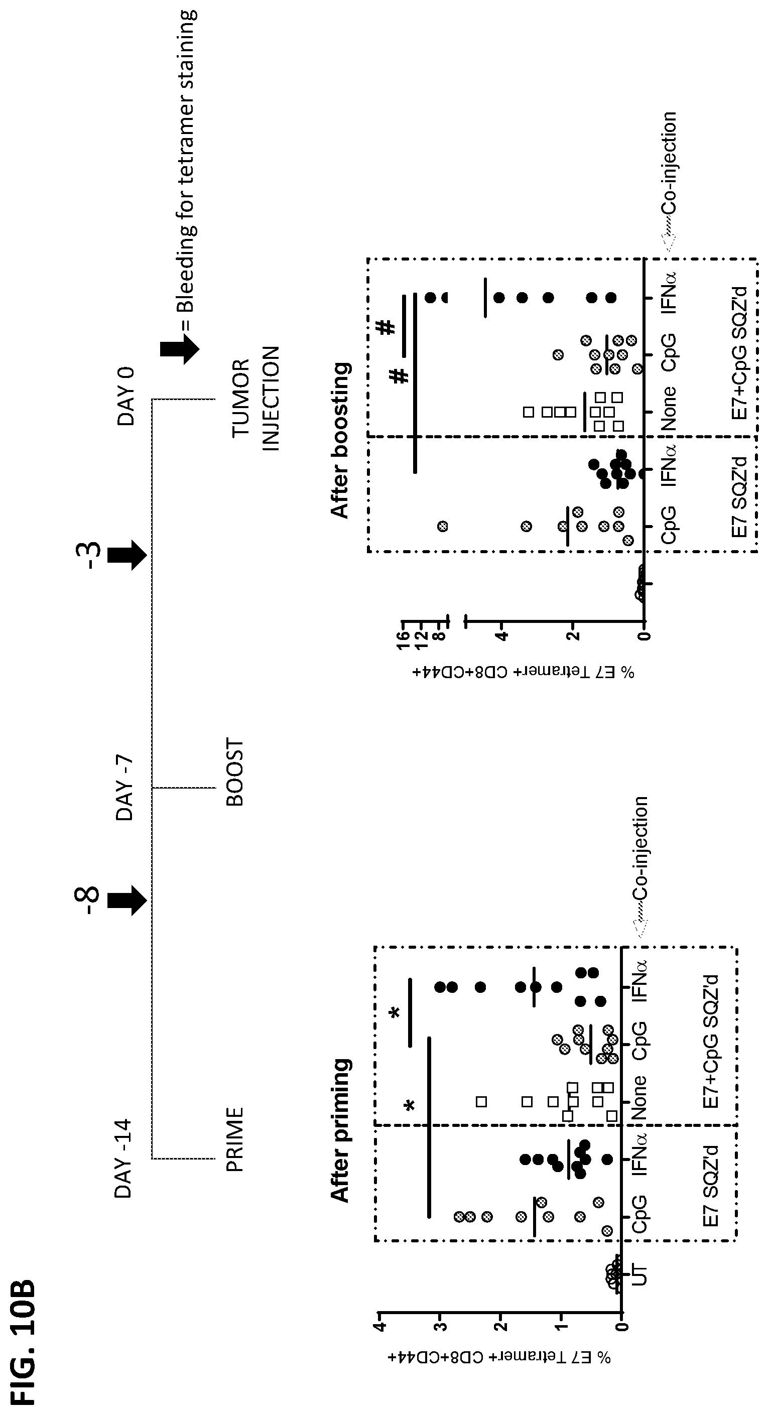 Patent US12599656 Figure 17 – Methods for treating HPV-associated diseases