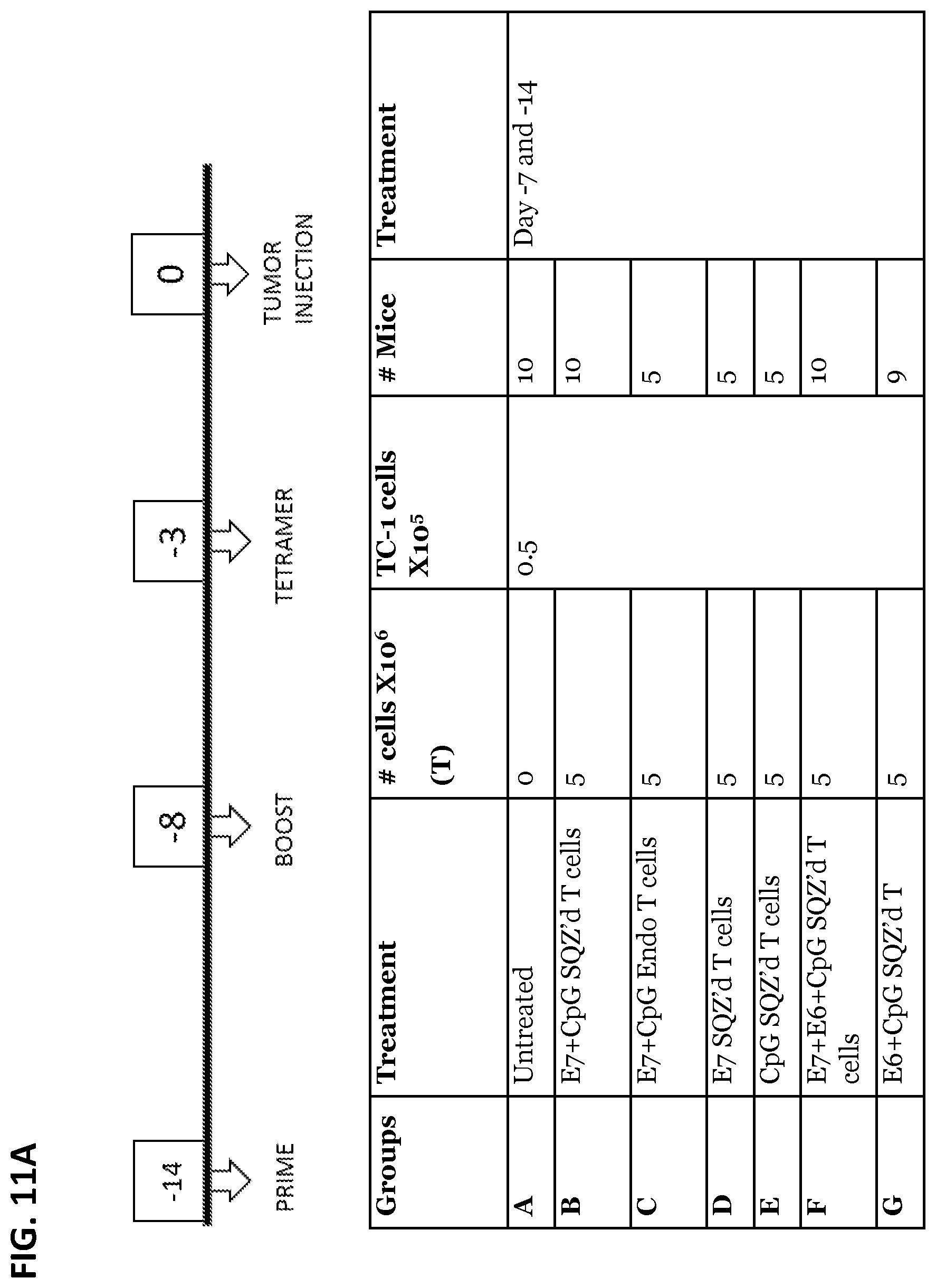 Patent US12599656 Figure 20 – Methods for treating HPV-associated diseases