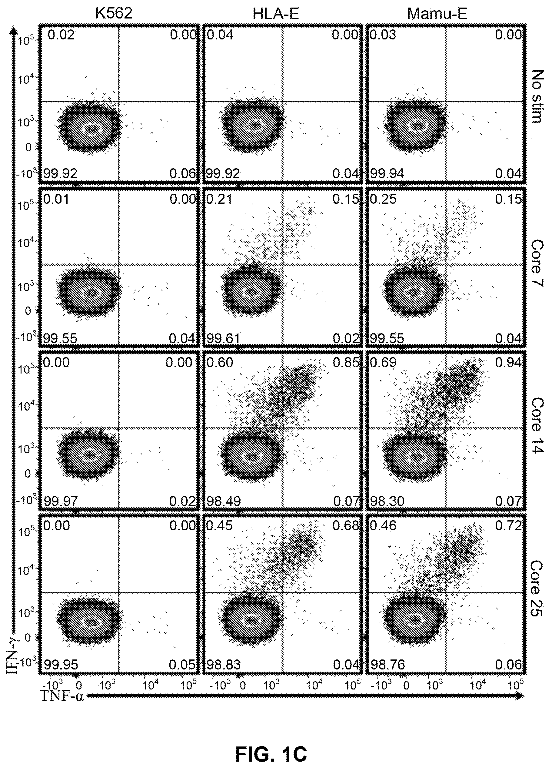 Patent US12599658 Figure 2 – Hepatitis B virus-specific T cell responses