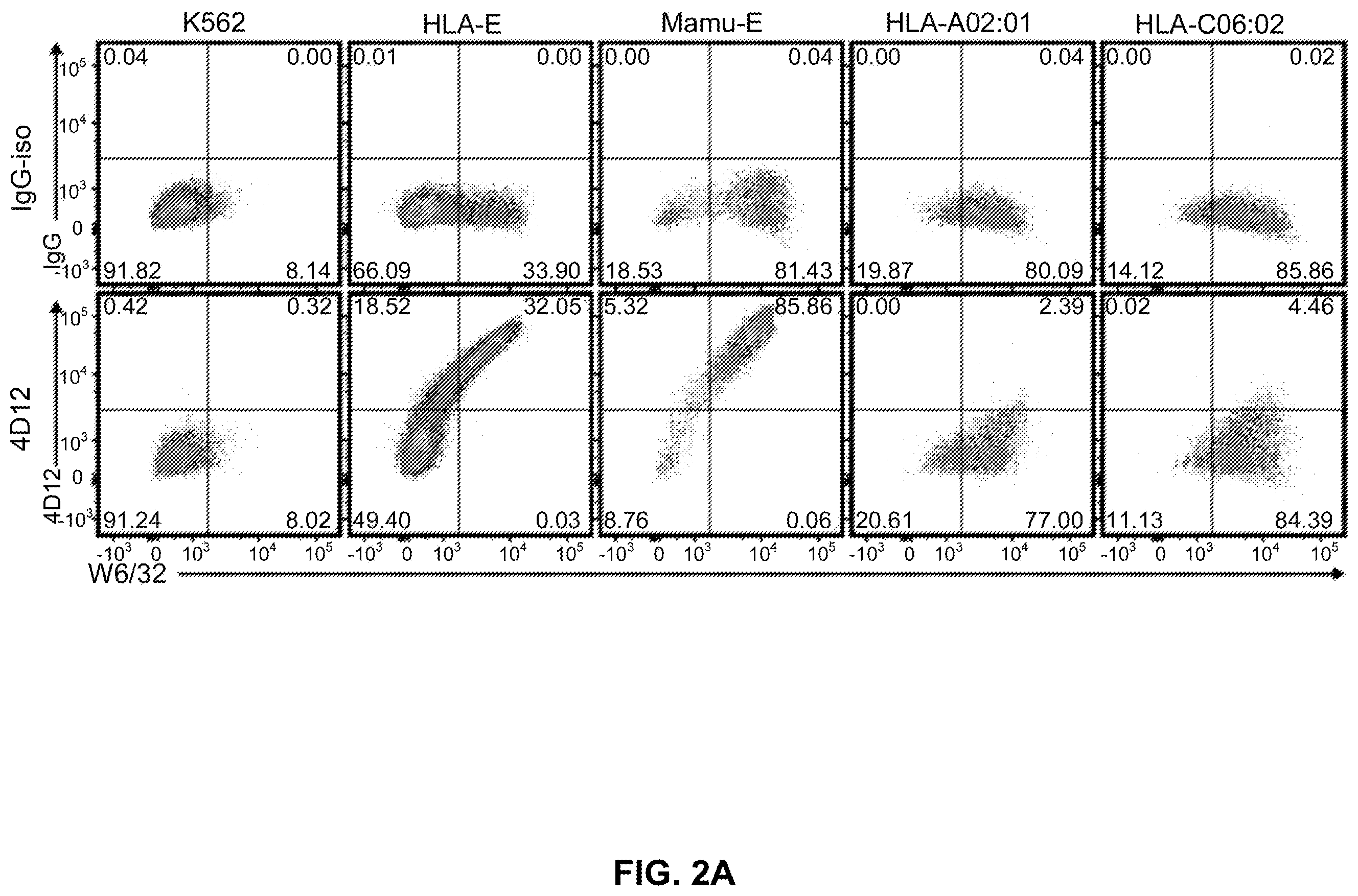 Patent US12599658 Figure 3 – Hepatitis B virus-specific T cell responses