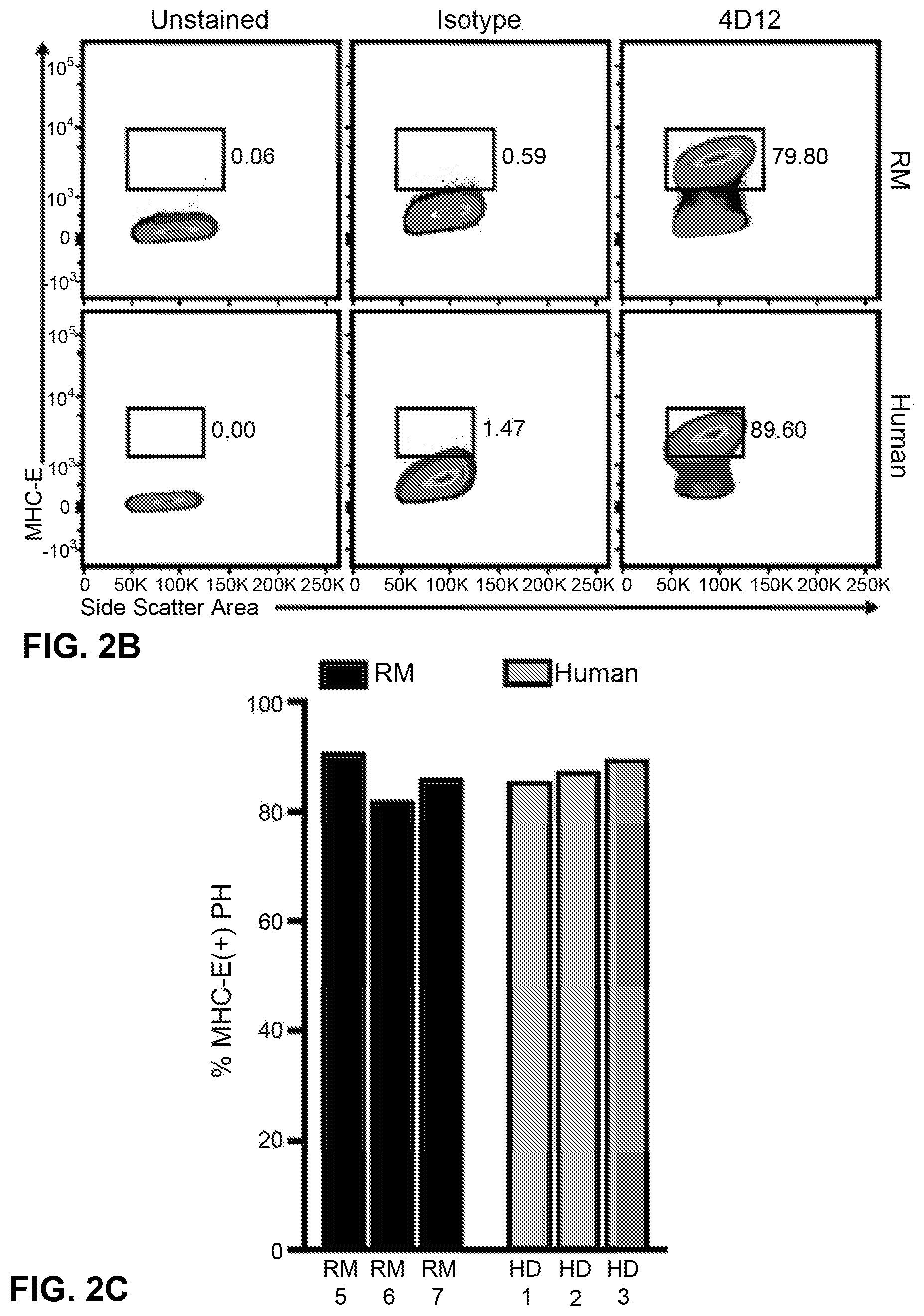 Patent US12599658 Figure 4 – Hepatitis B virus-specific T cell responses