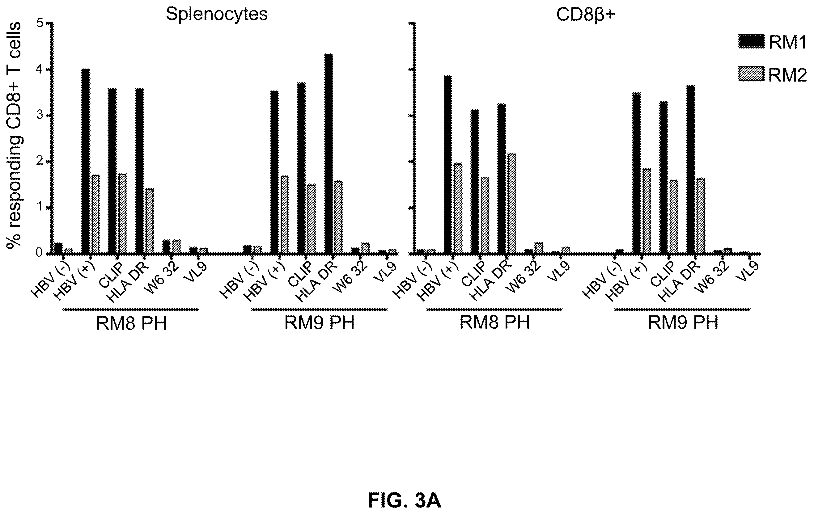Patent US12599658 Figure 6 – Hepatitis B virus-specific T cell responses
