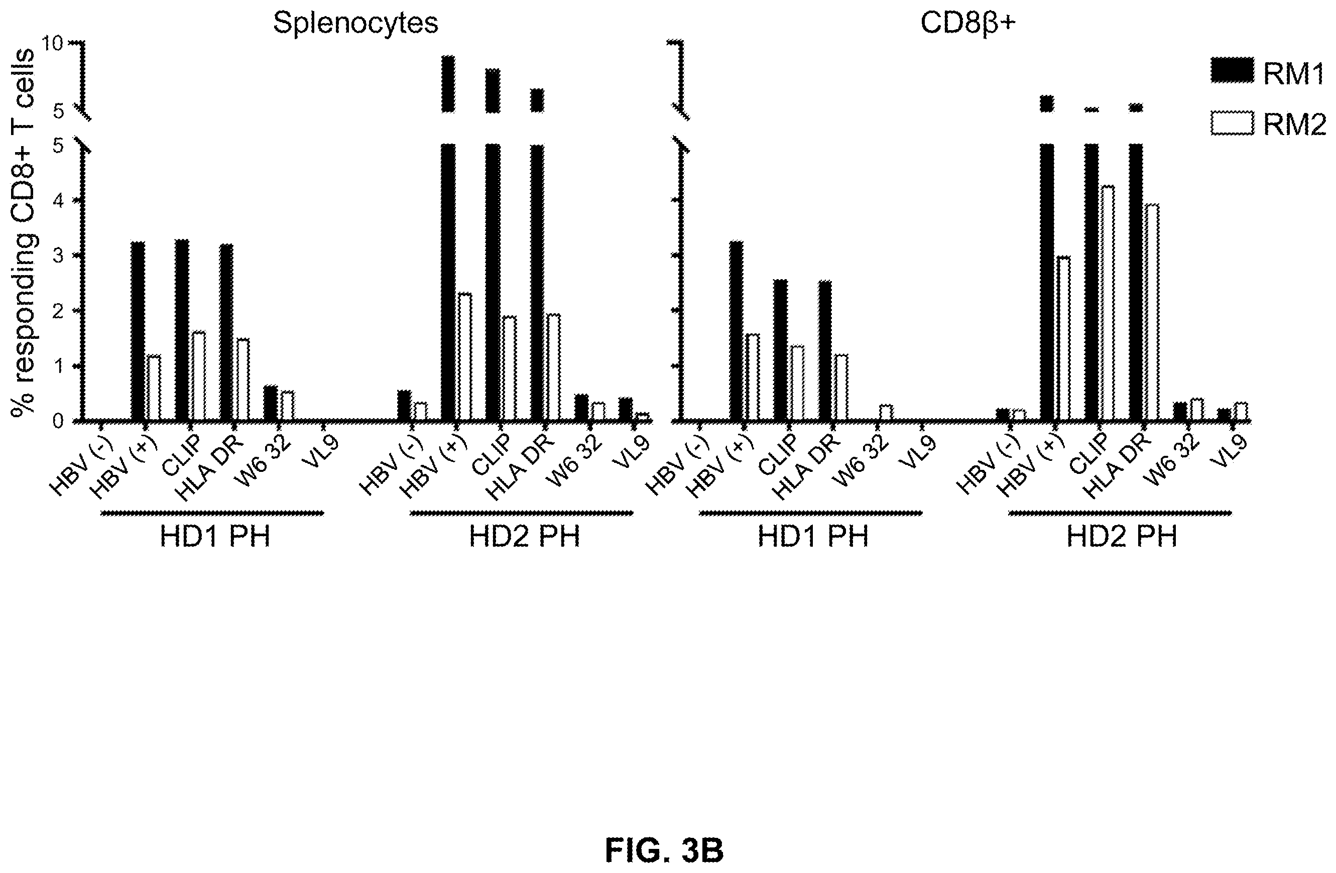 Patent US12599658 Figure 7 – Hepatitis B virus-specific T cell responses