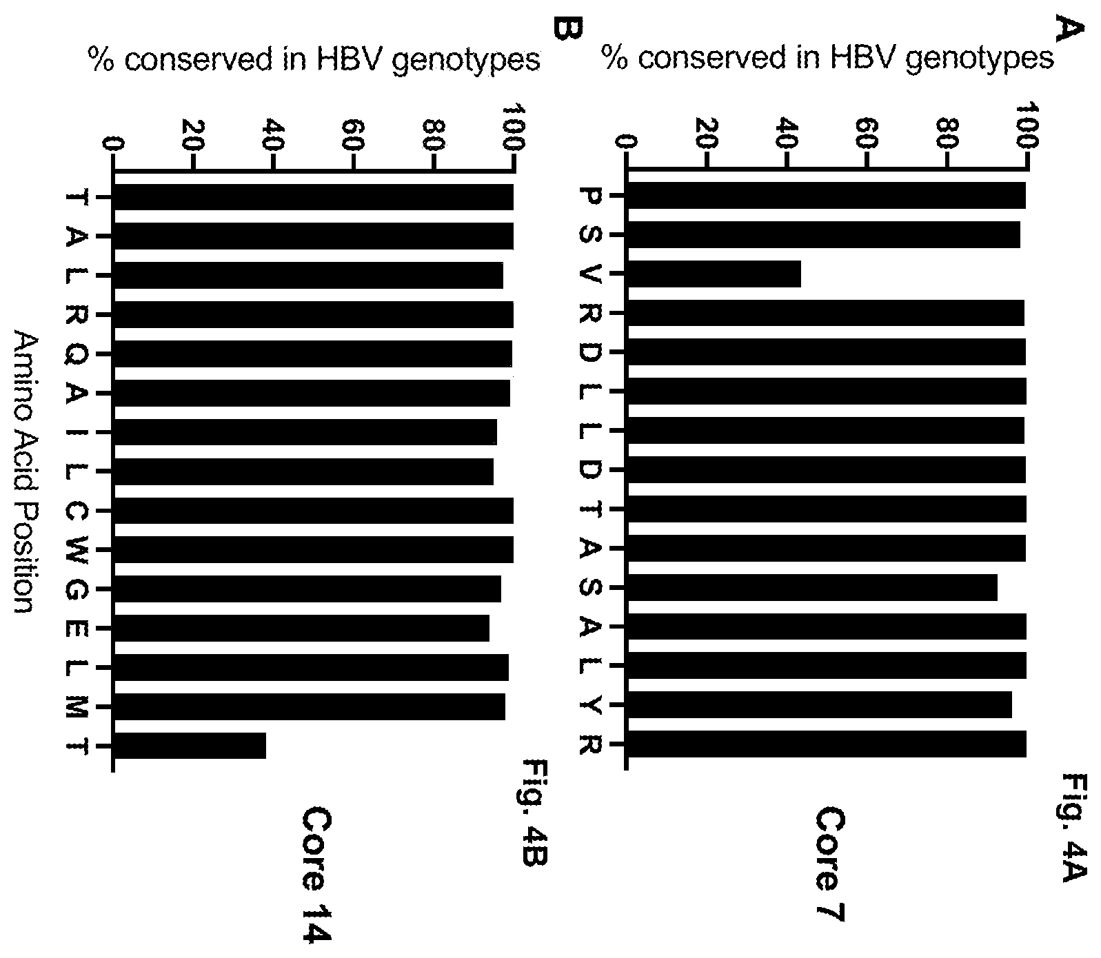 Patent US12599658 Figure 8 – Hepatitis B virus-specific T cell responses