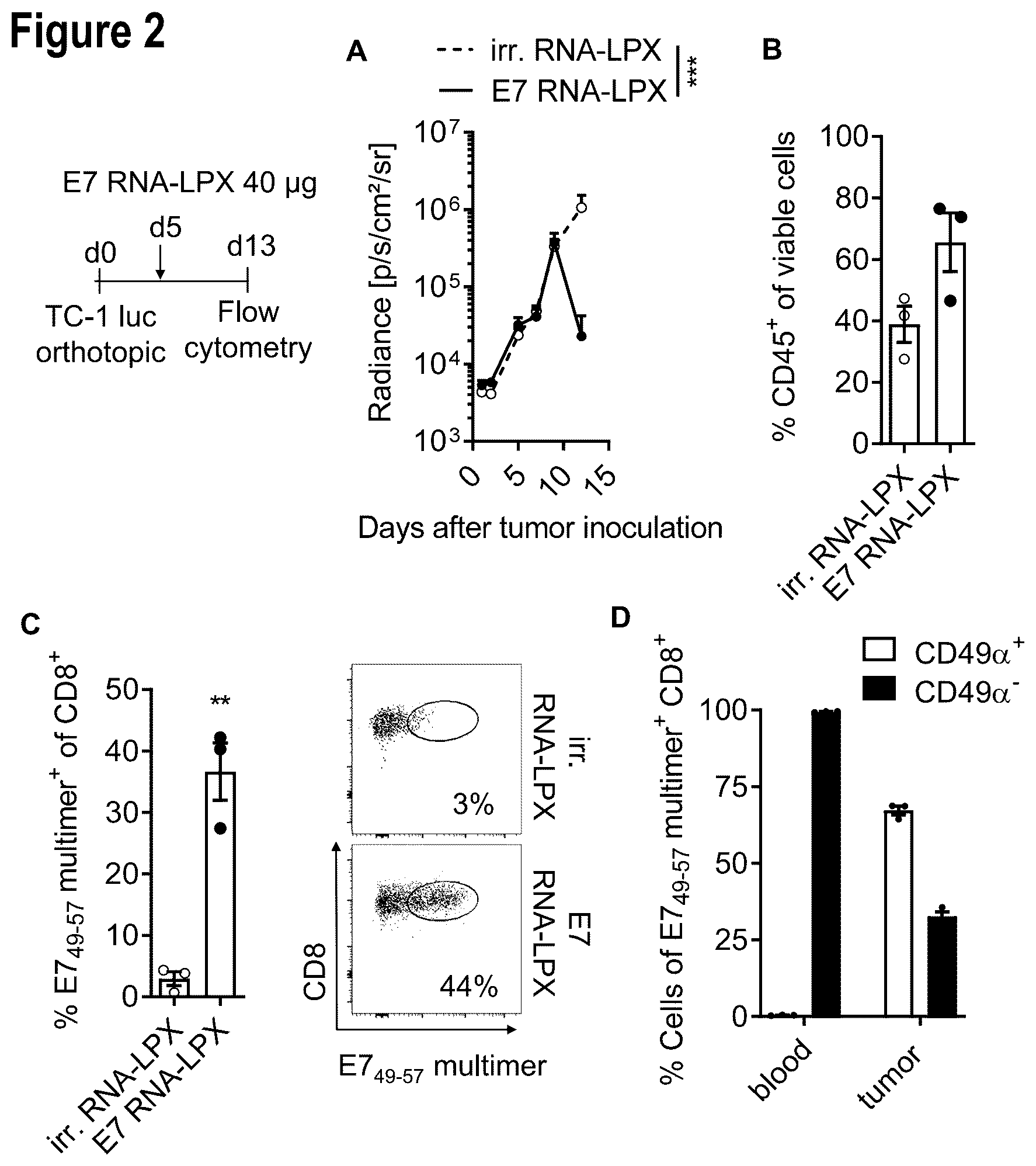 Patent US12599660 Figure 2 – Therapeutic RNA for HPV-positive cancer