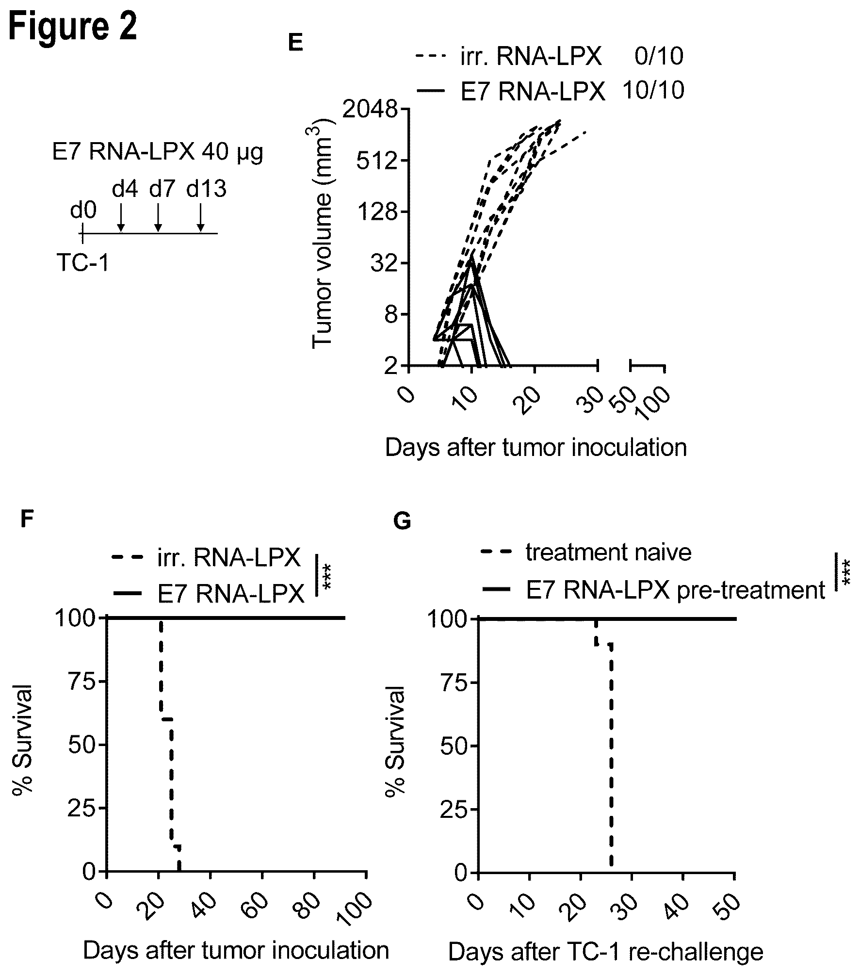 Patent US12599660 Figure 3 – Therapeutic RNA for HPV-positive cancer