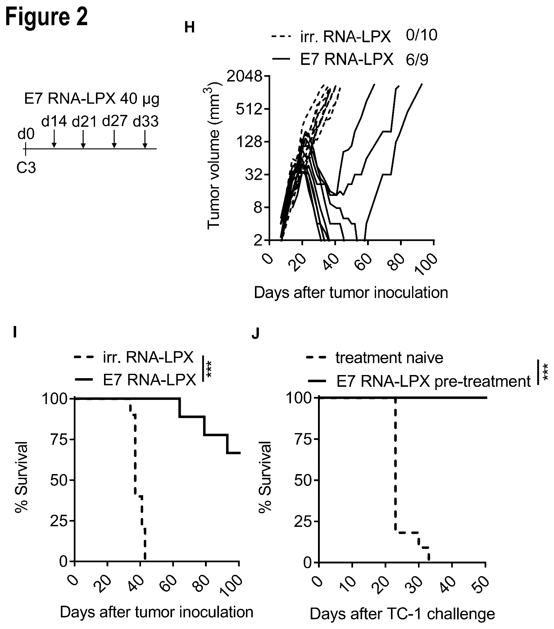 Patent US12599660 Figure 4 – Therapeutic RNA for HPV-positive cancer