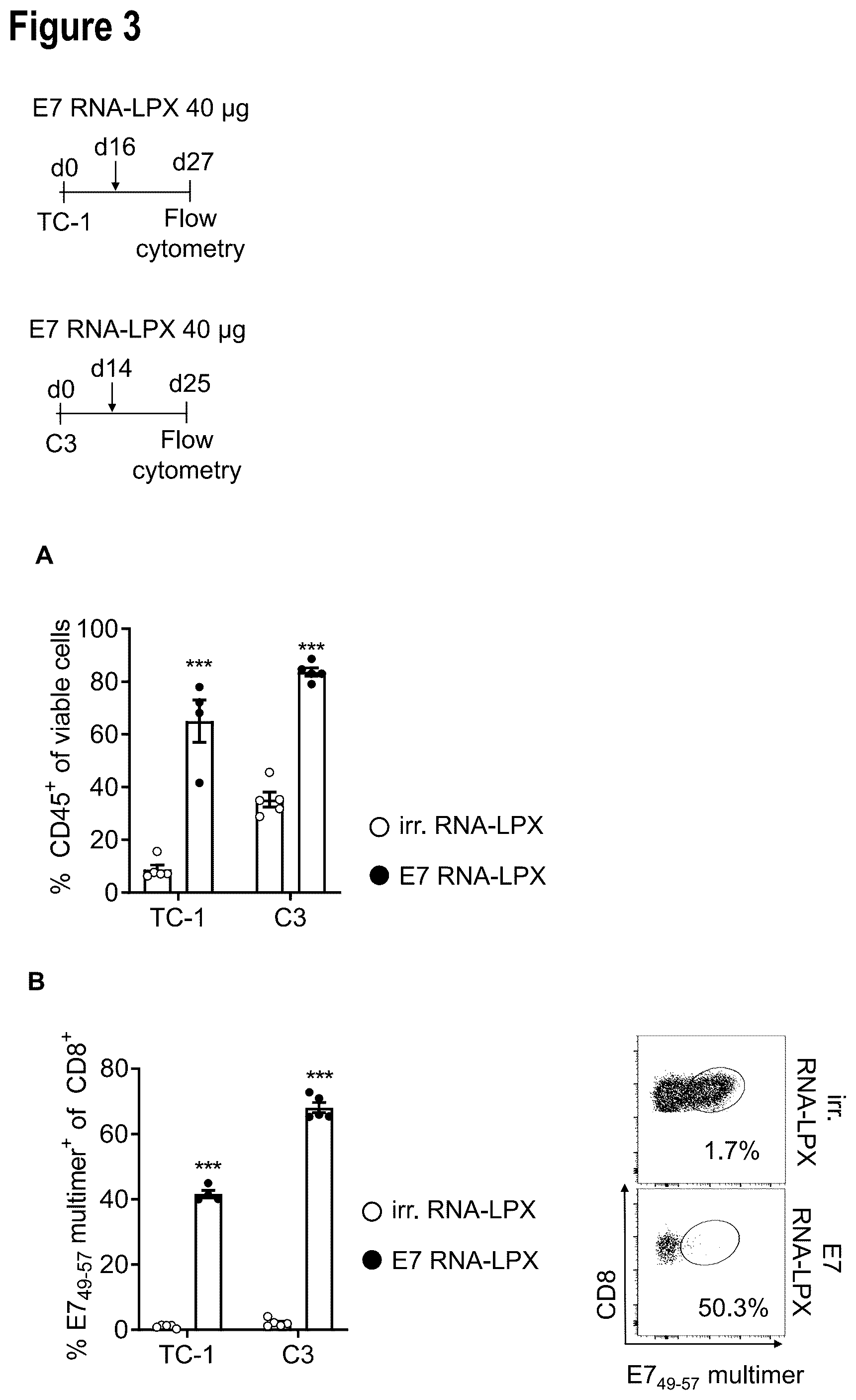 Patent US12599660 Figure 5 – Therapeutic RNA for HPV-positive cancer