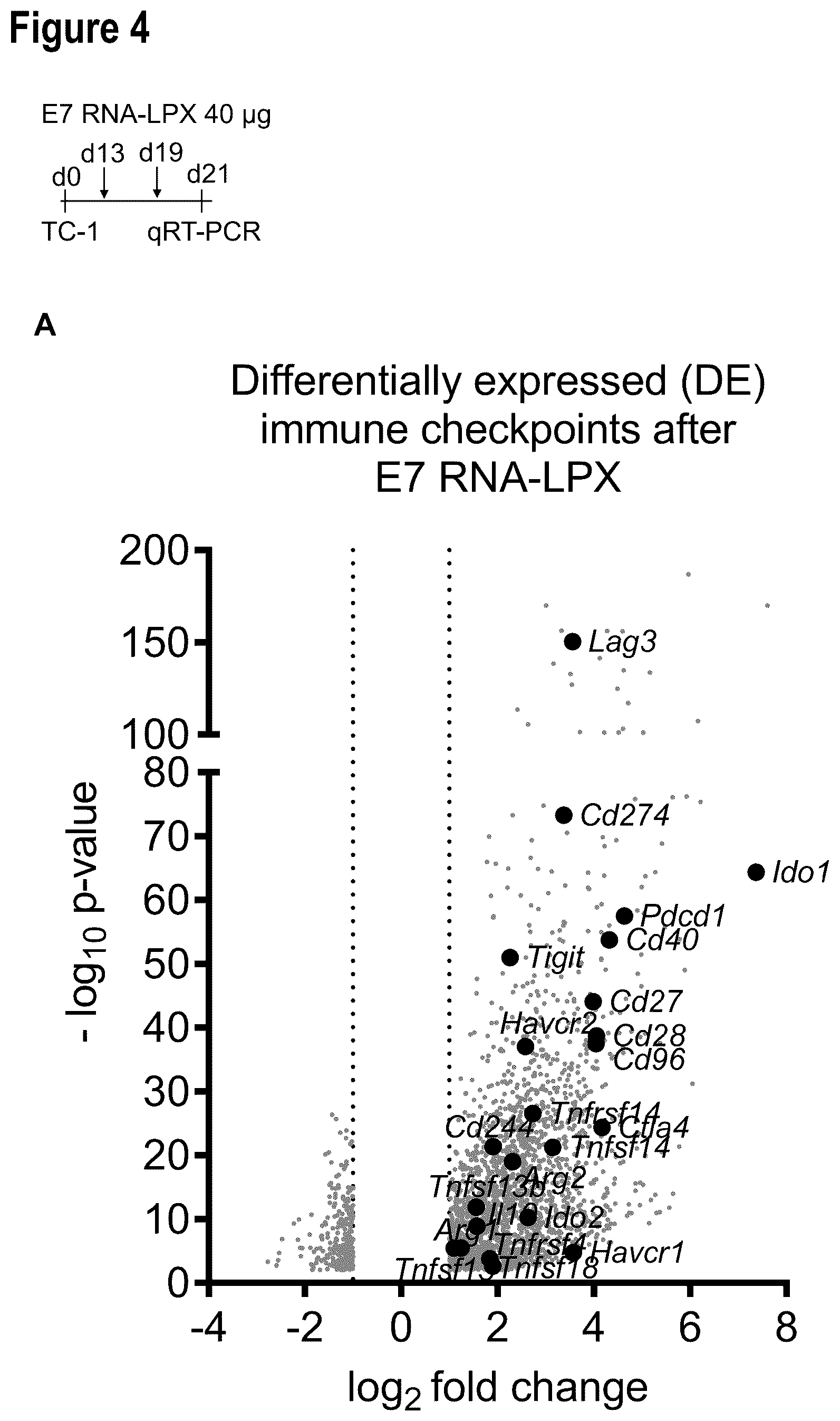Patent US12599660 Figure 8 – Therapeutic RNA for HPV-positive cancer