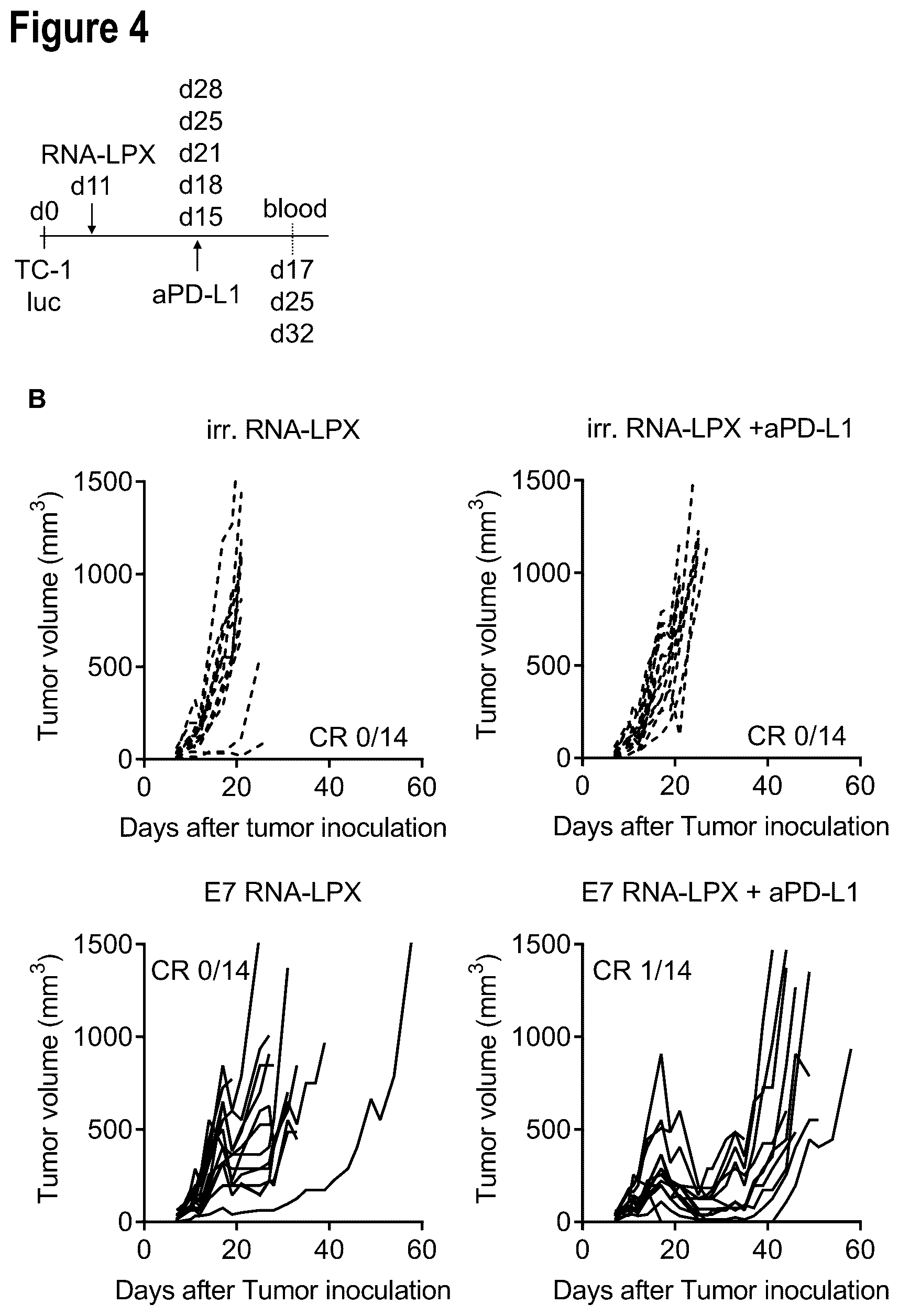 Patent US12599660 Figure 9 – Therapeutic RNA for HPV-positive cancer