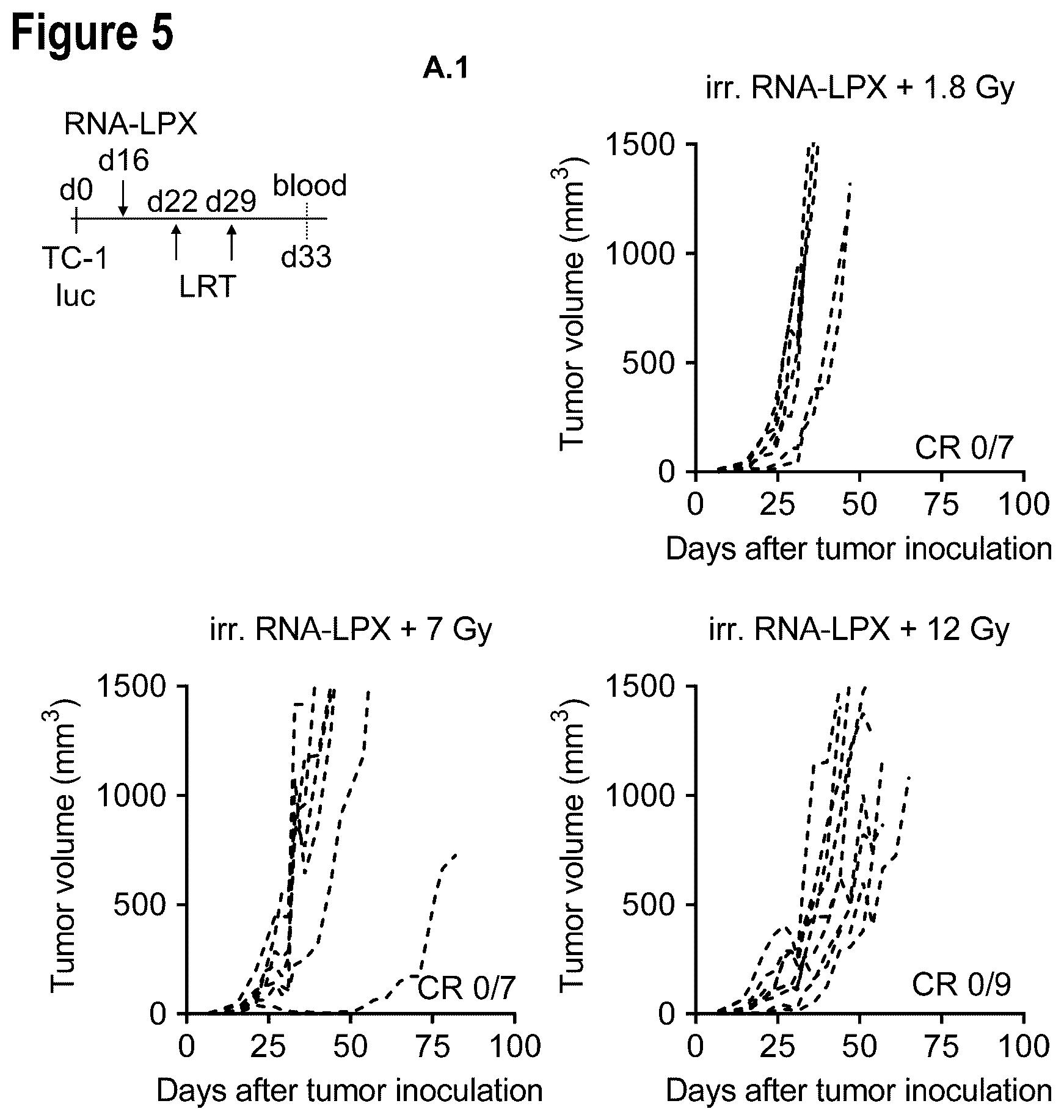 Patent US12599660 Figure 11 – Therapeutic RNA for HPV-positive cancer