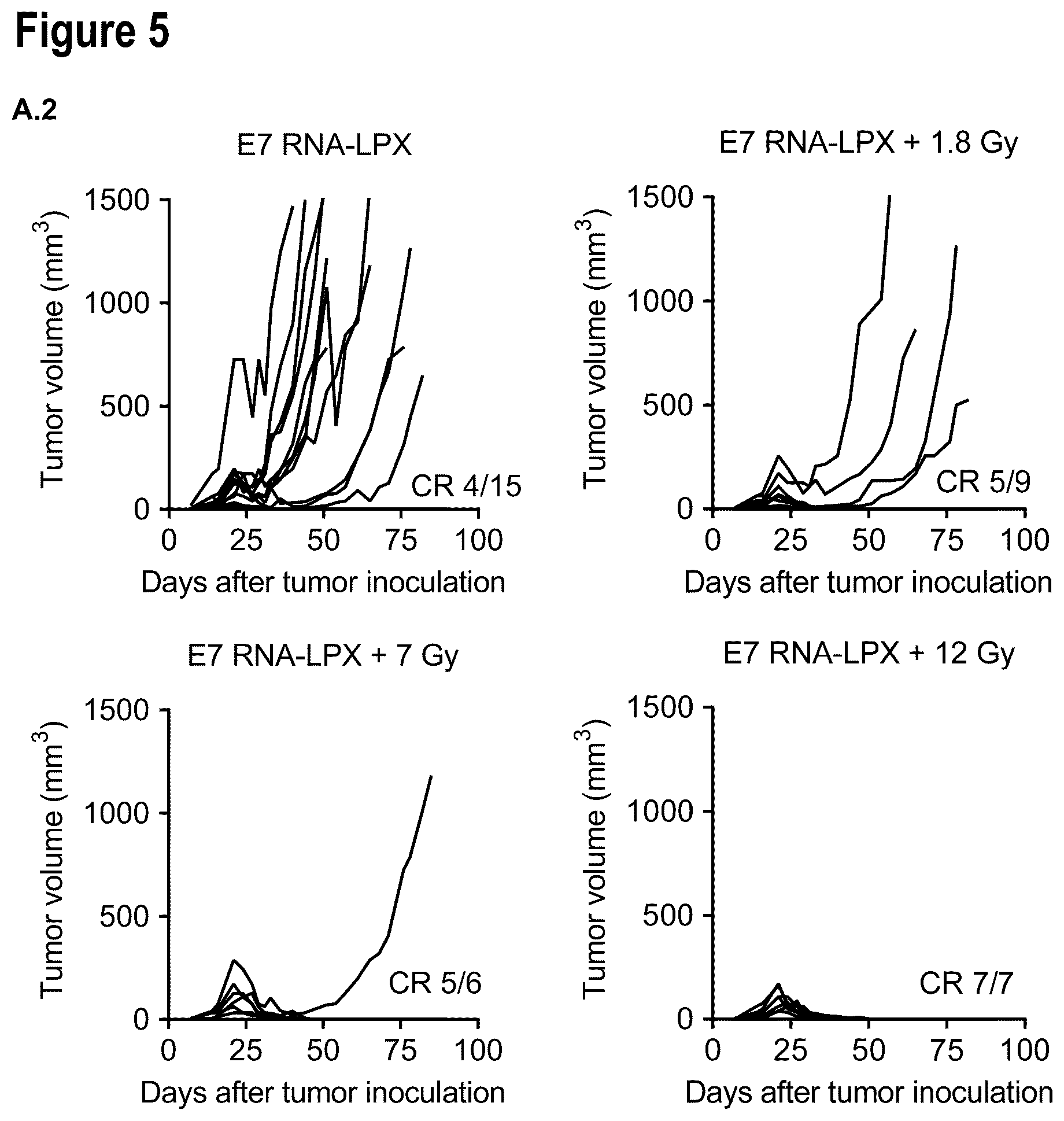 Patent US12599660 Figure 12 – Therapeutic RNA for HPV-positive cancer