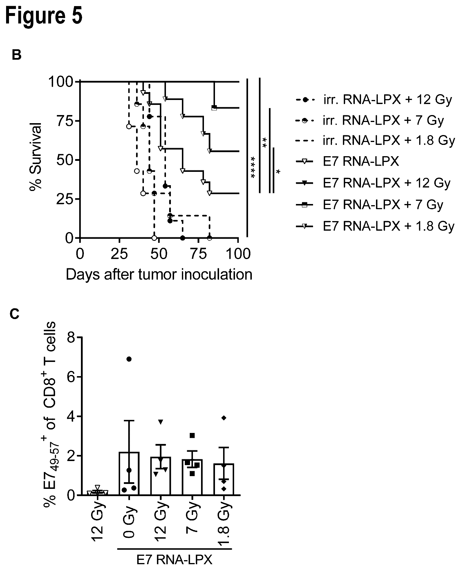 Patent US12599660 Figure 13 – Therapeutic RNA for HPV-positive cancer
