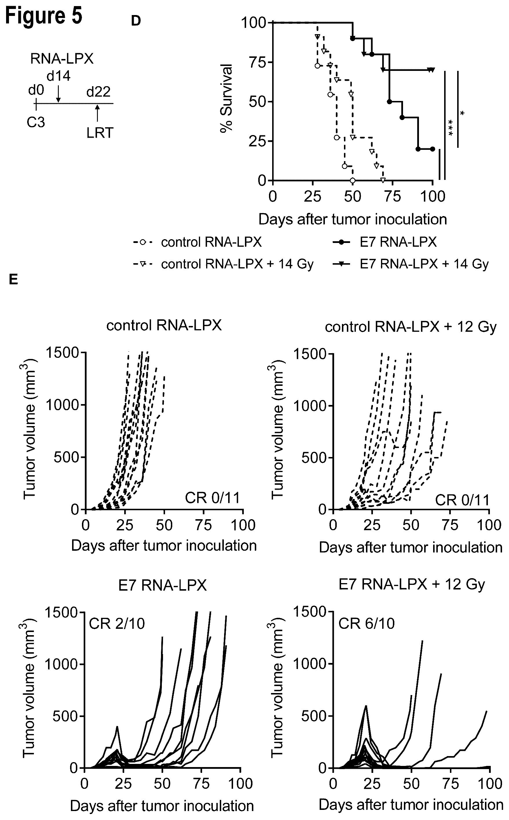 Patent US12599660 Figure 14 – Therapeutic RNA for HPV-positive cancer