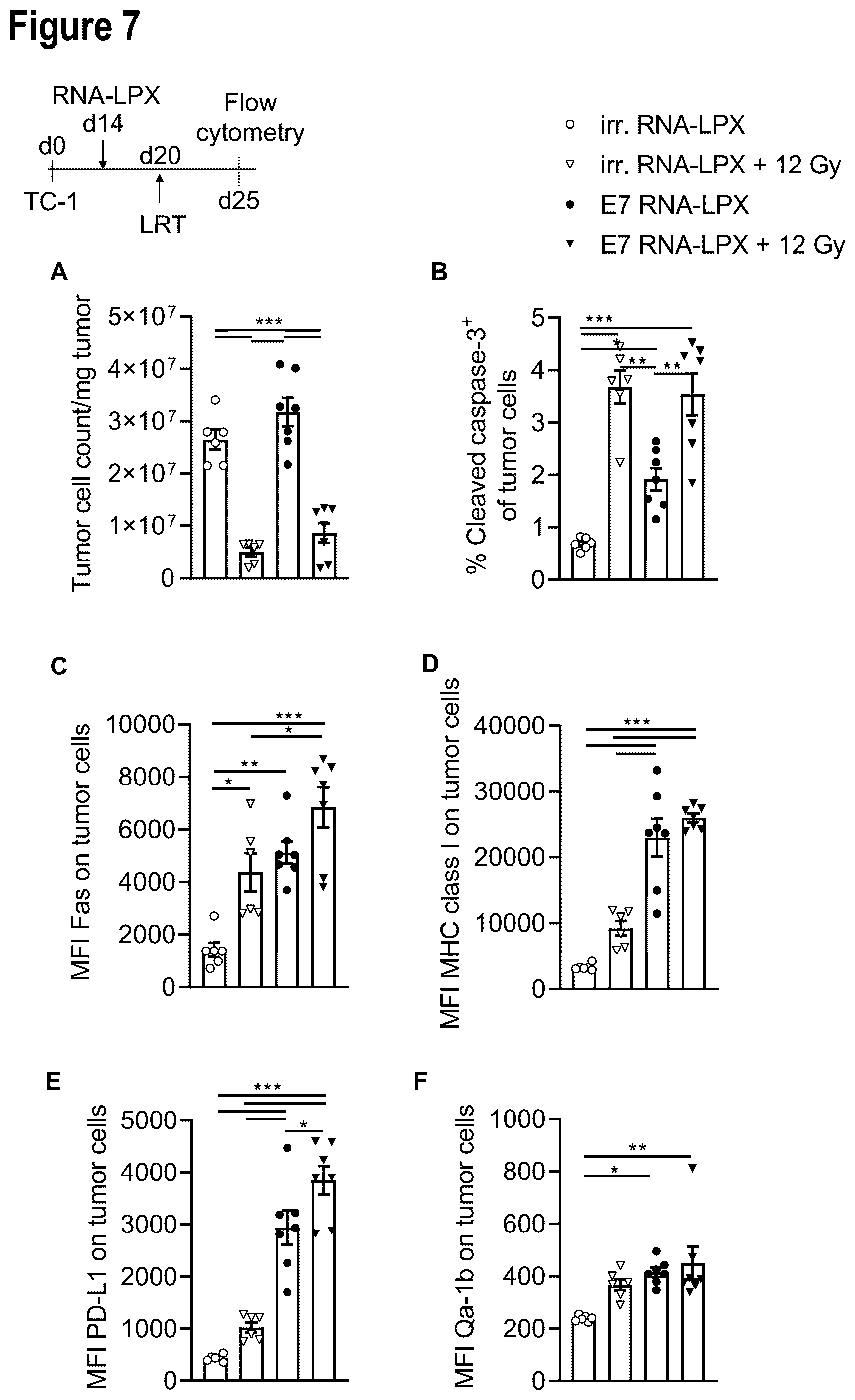 Patent US12599660 Figure 17 – Therapeutic RNA for HPV-positive cancer