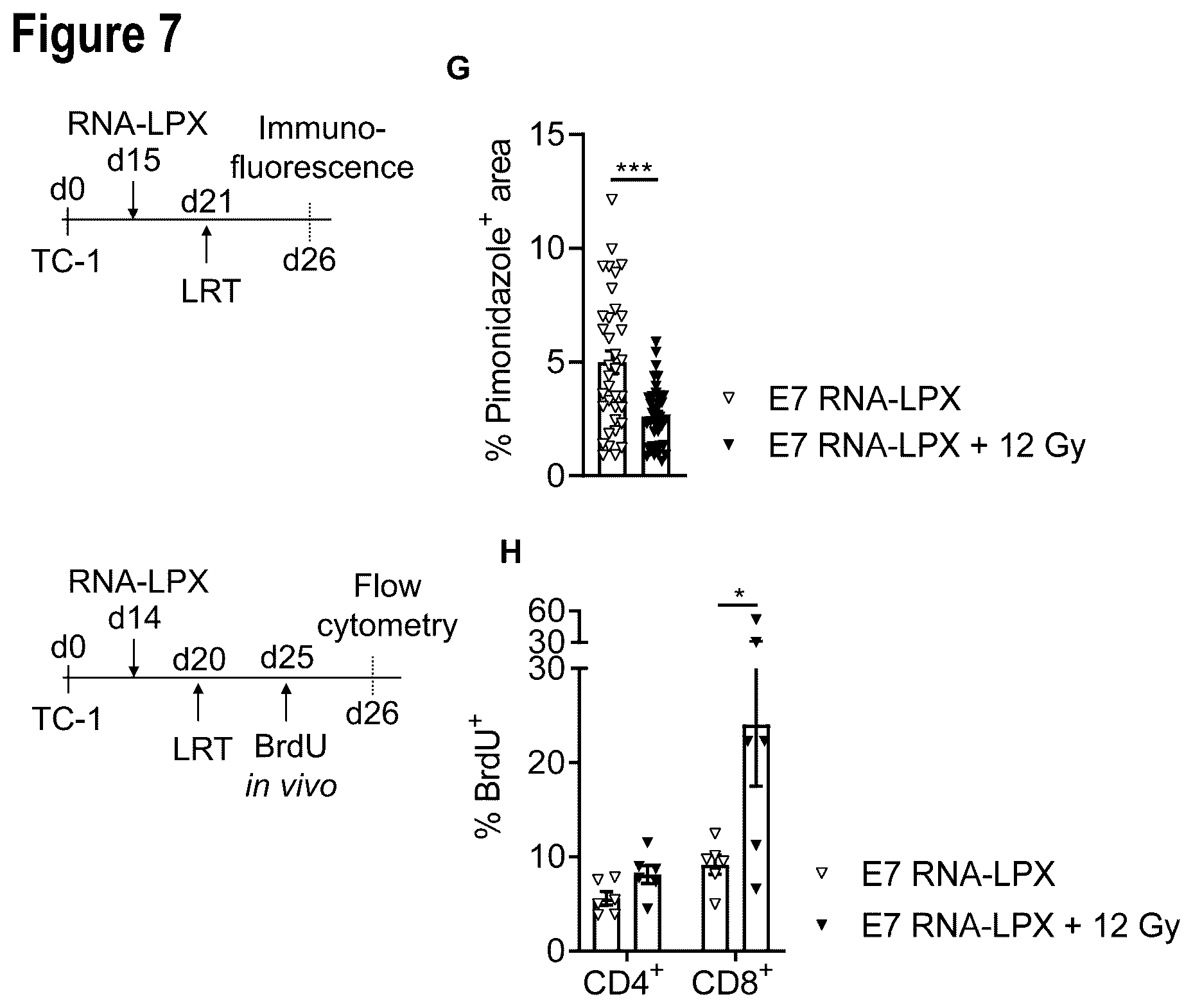 Patent US12599660 Figure 18 – Therapeutic RNA for HPV-positive cancer