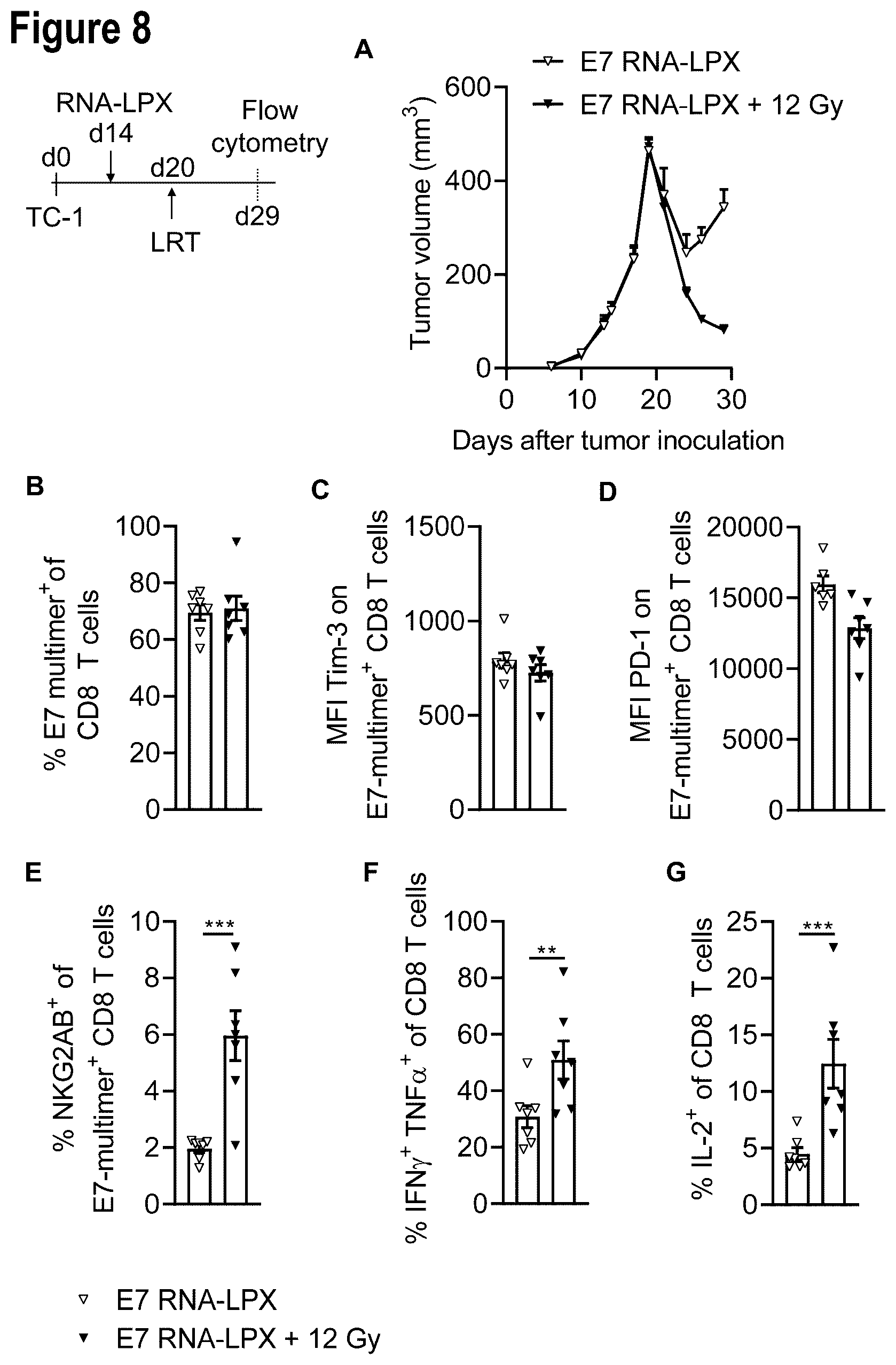 Patent US12599660 Figure 19 – Therapeutic RNA for HPV-positive cancer