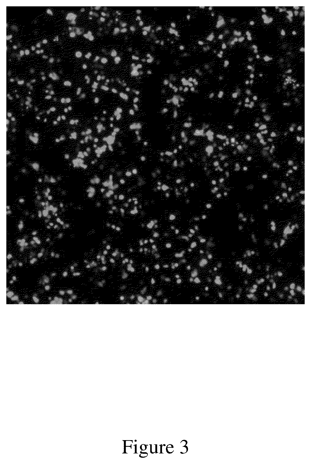 Patent US12599661 Figure 3 – Immunogenic compositions of hepatitis c virus and uses thereof