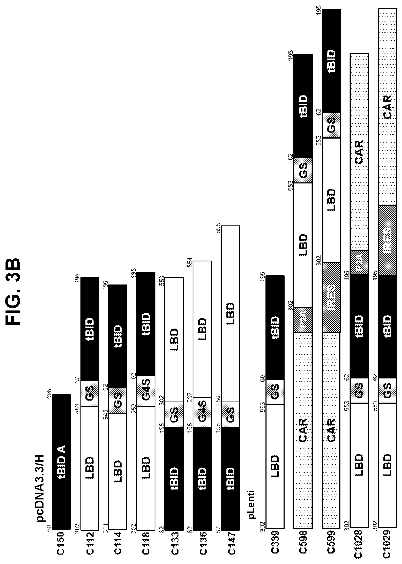 Patent US12599665 Figure 4 – Gene fusions for control of genetically modified cells