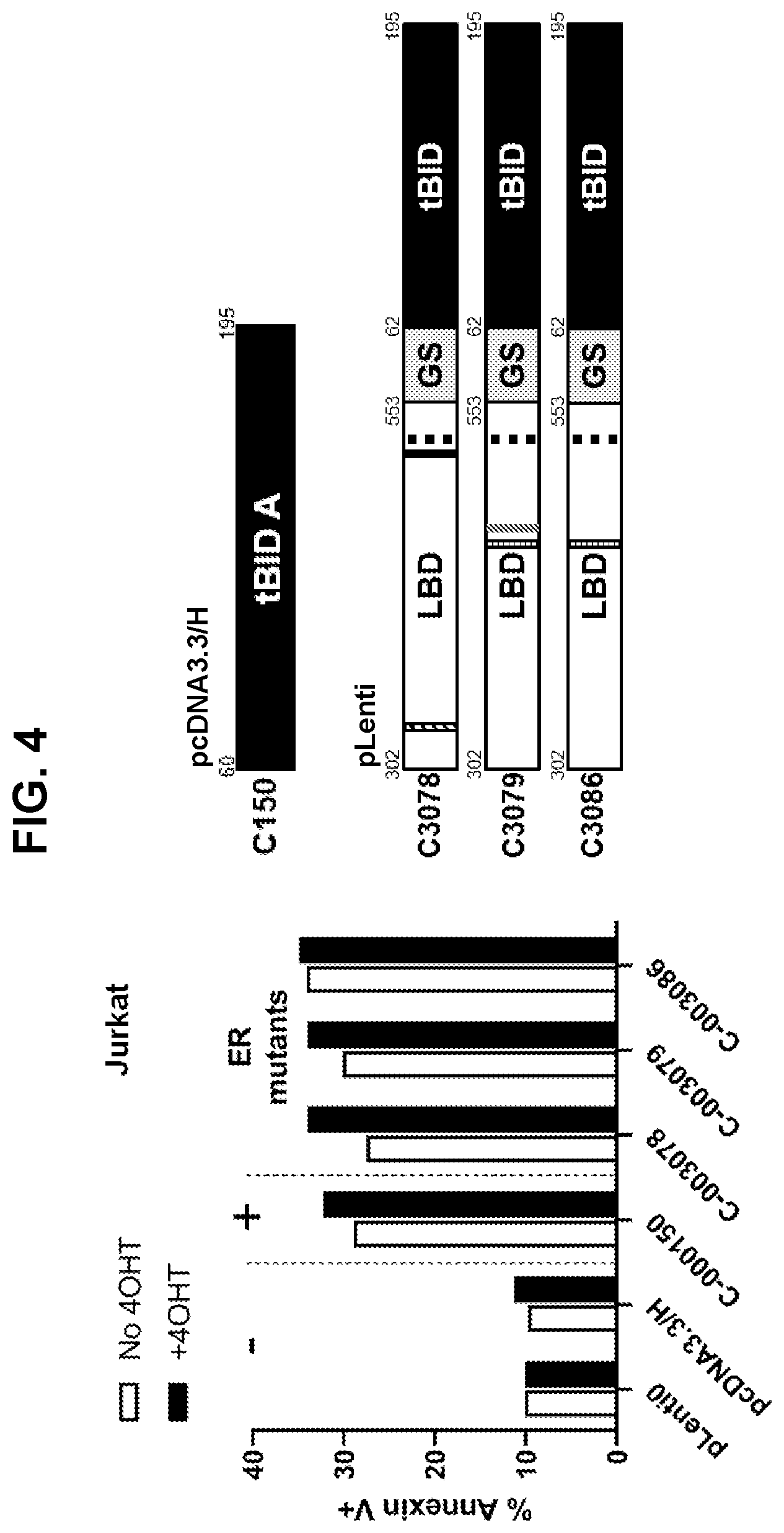 Patent US12599665 Figure 5 – Gene fusions for control of genetically modified cells