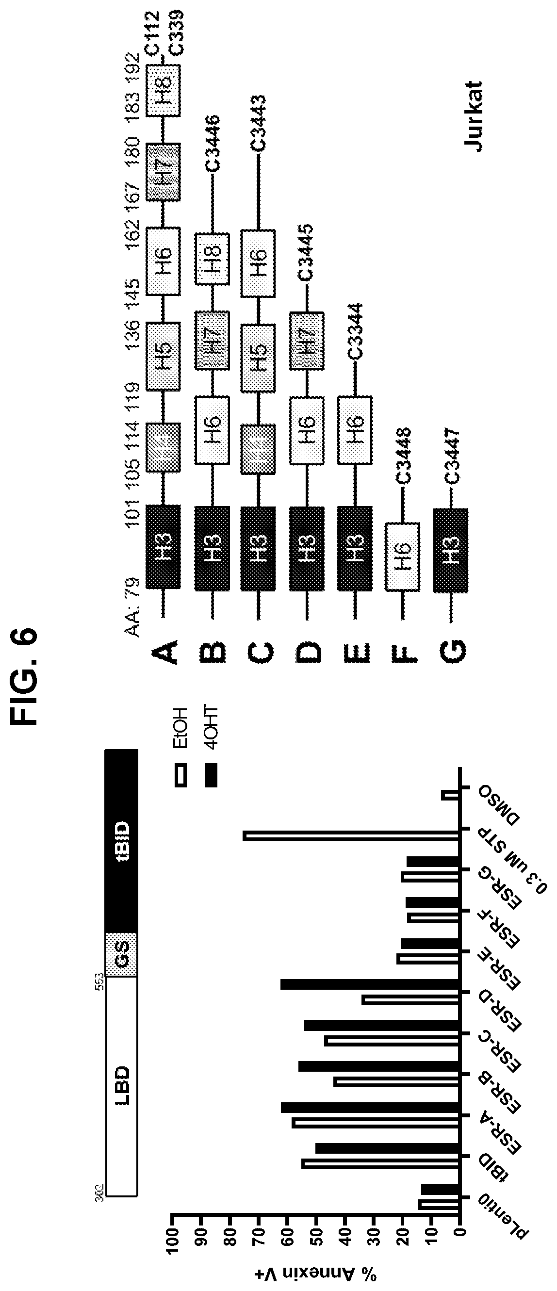 Patent US12599665 Figure 8 – Gene fusions for control of genetically modified cells