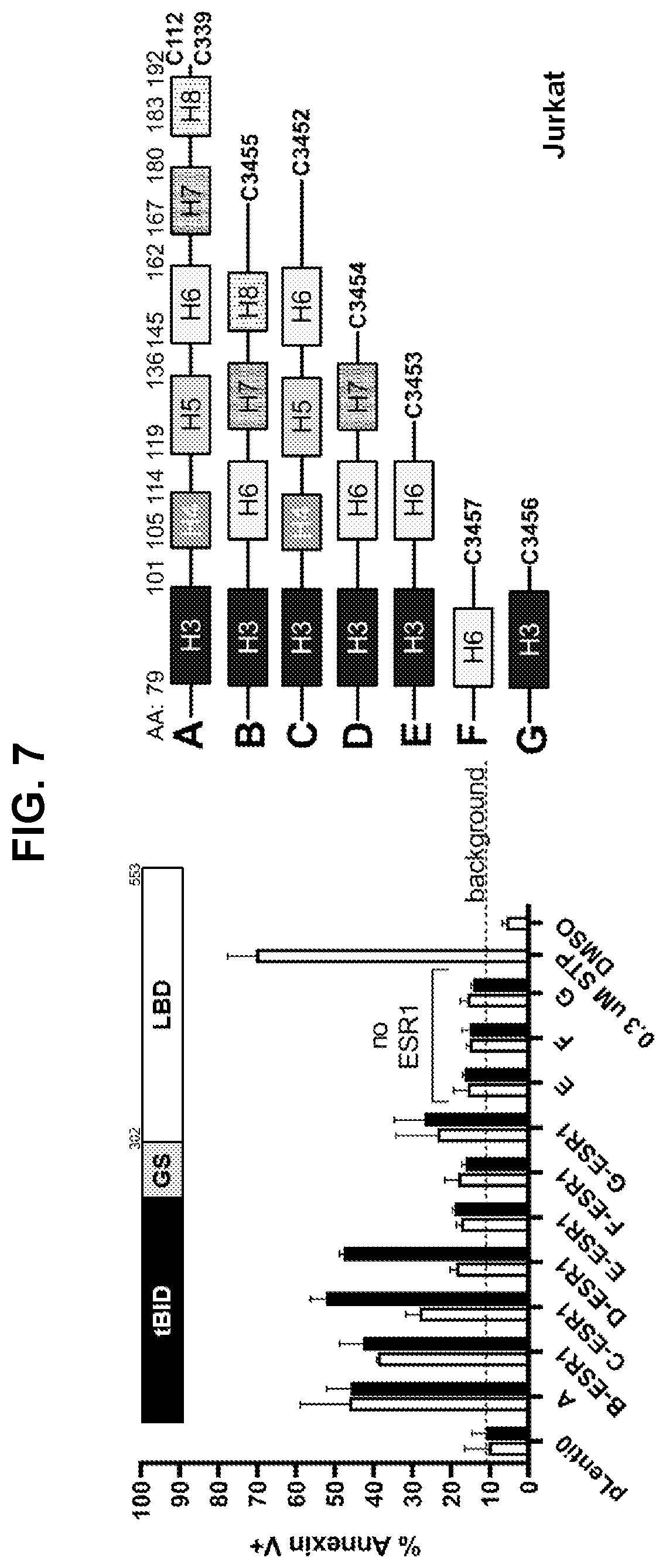 Patent US12599665 Figure 9 – Gene fusions for control of genetically modified cells