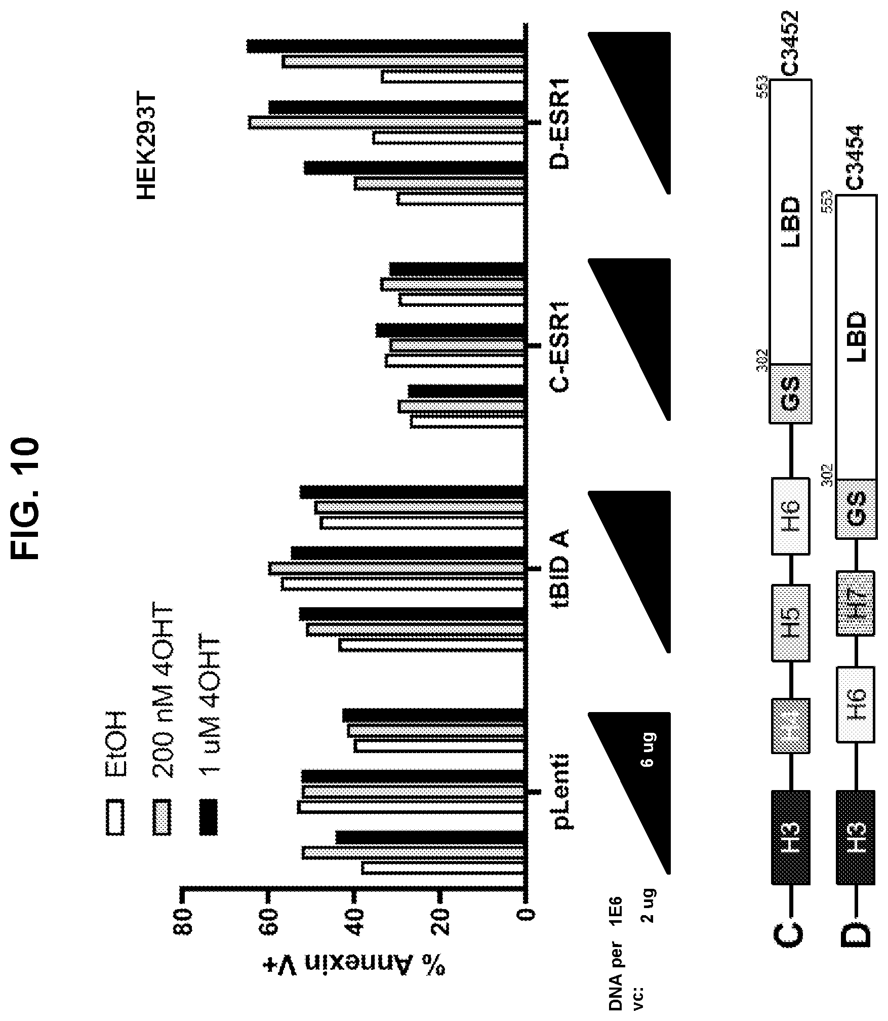 Patent US12599665 Figure 12 – Gene fusions for control of genetically modified cells