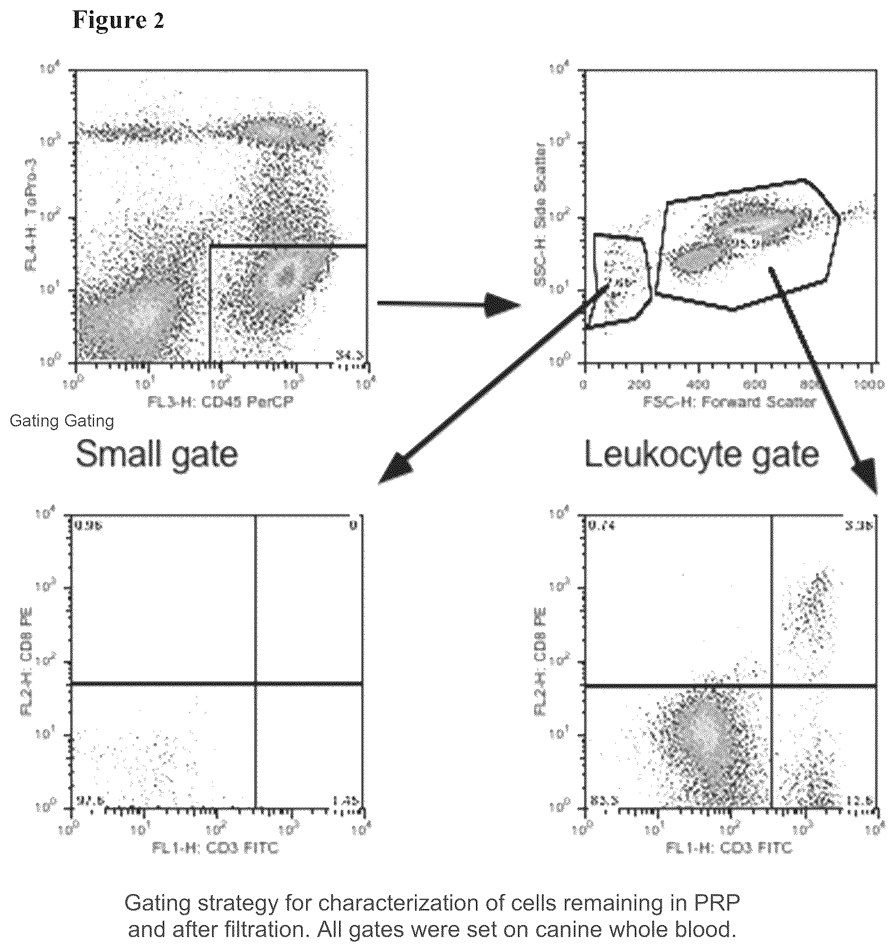 Patent US12599667 Figure 2 – Methods of preventing platelet alloimmunization and alloimmune platelet refractoriness and induction of tolerance in transfused recipients