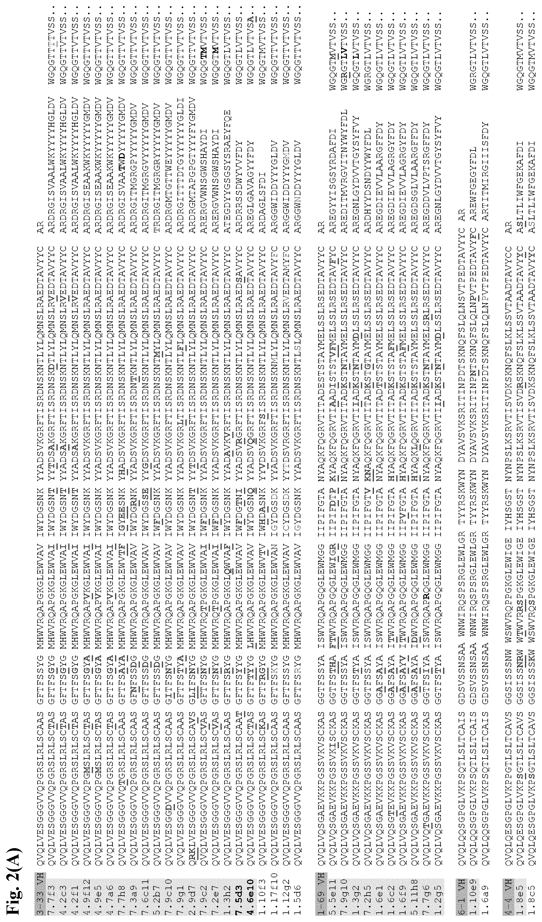 Patent US12599668 Figure 4 – Antibodies