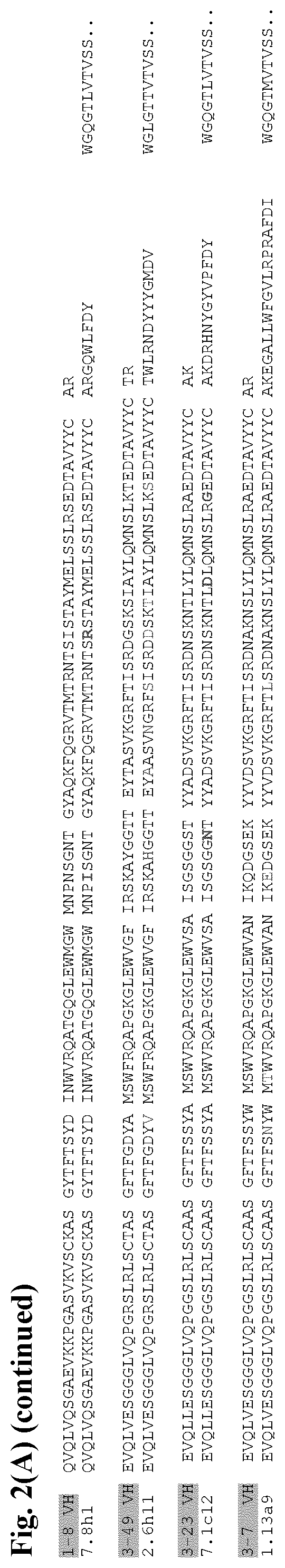 Patent US12599668 Figure 5 – Antibodies